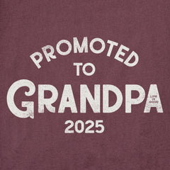 Men's Promoted to Grandpa 2025 Short Sleeve Crusher Tee