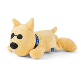 Rocket Plush Dog Toy