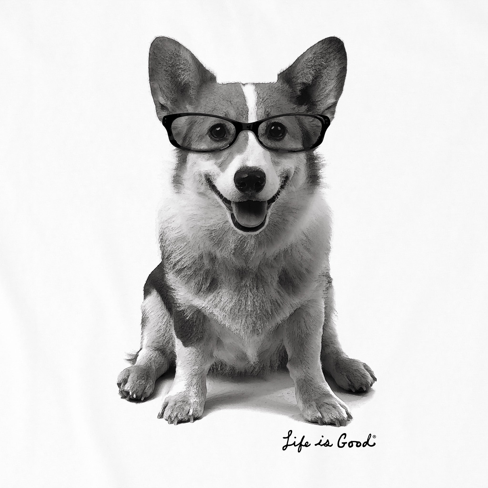 Men's Smart Corgi Short Sleeve Crusher Tee