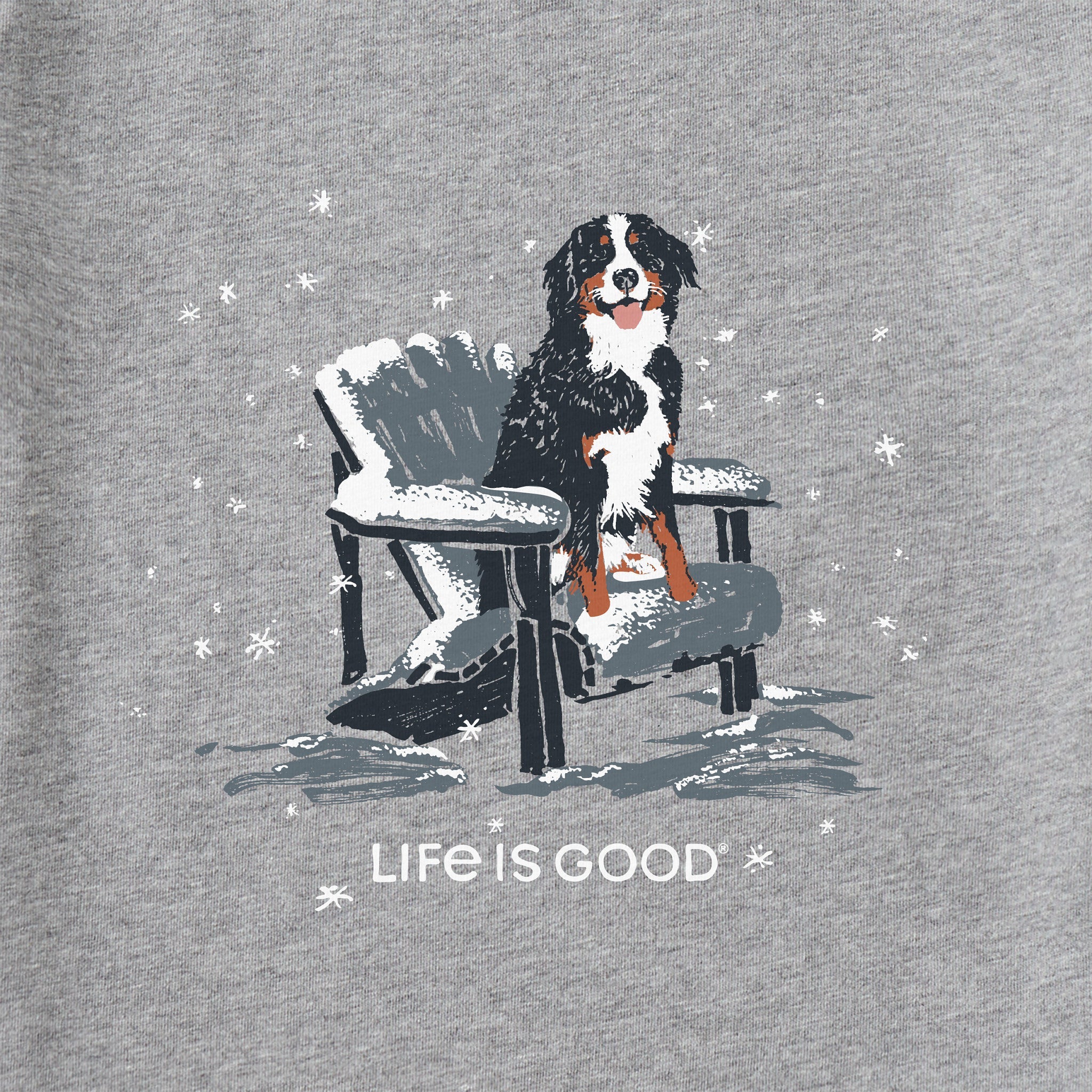 Men's Snowy Adirondack Bernese Long Sleeve Crusher Tee