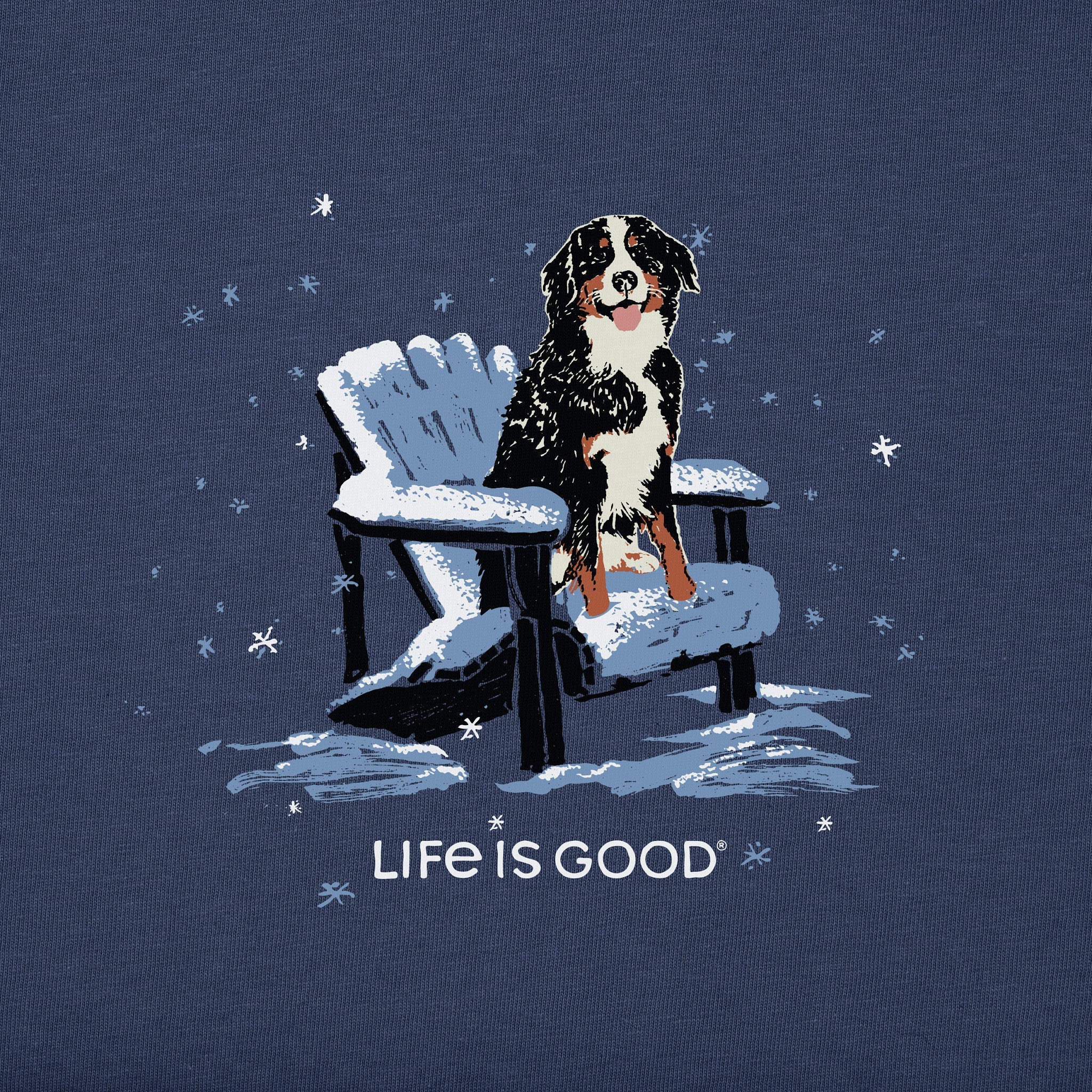 Men's Snowy Adirondack Bernese Long Sleeve Crusher Tee