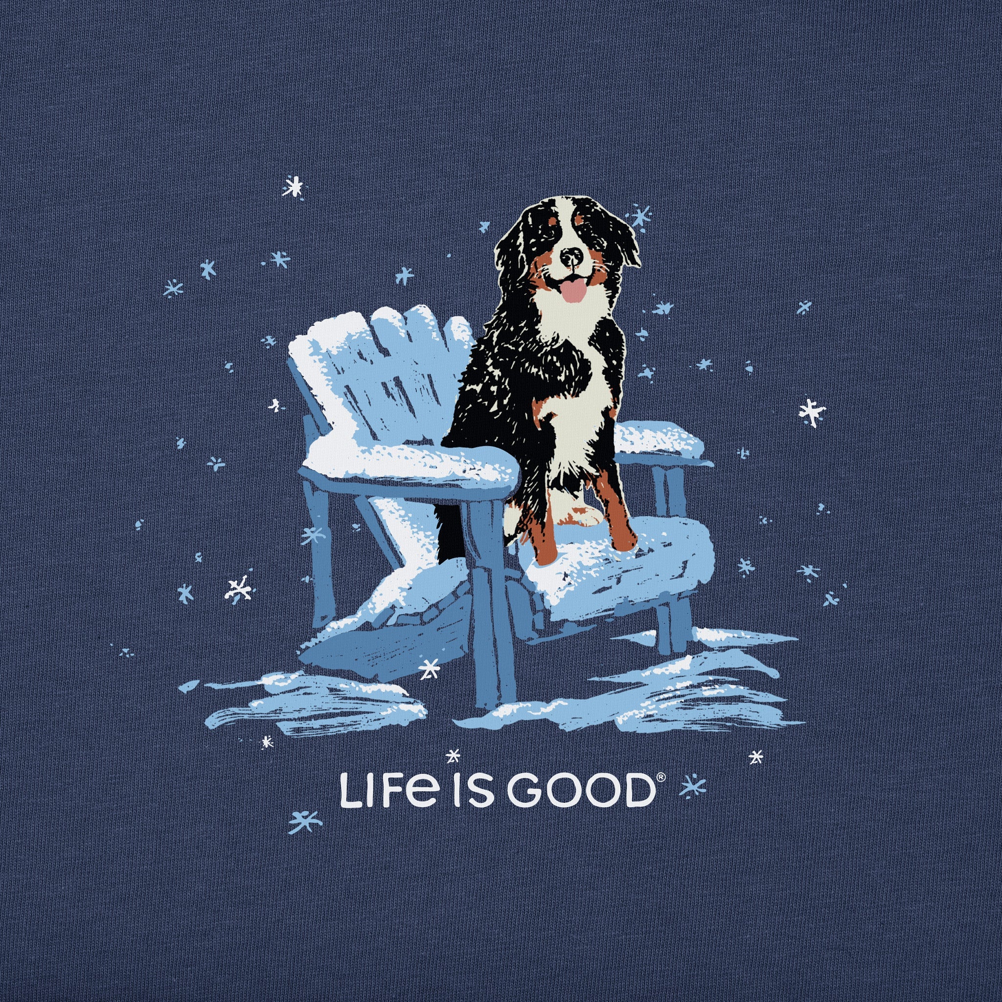 Men's Snowy Adirondack Bernese Simply True Fleece Crew