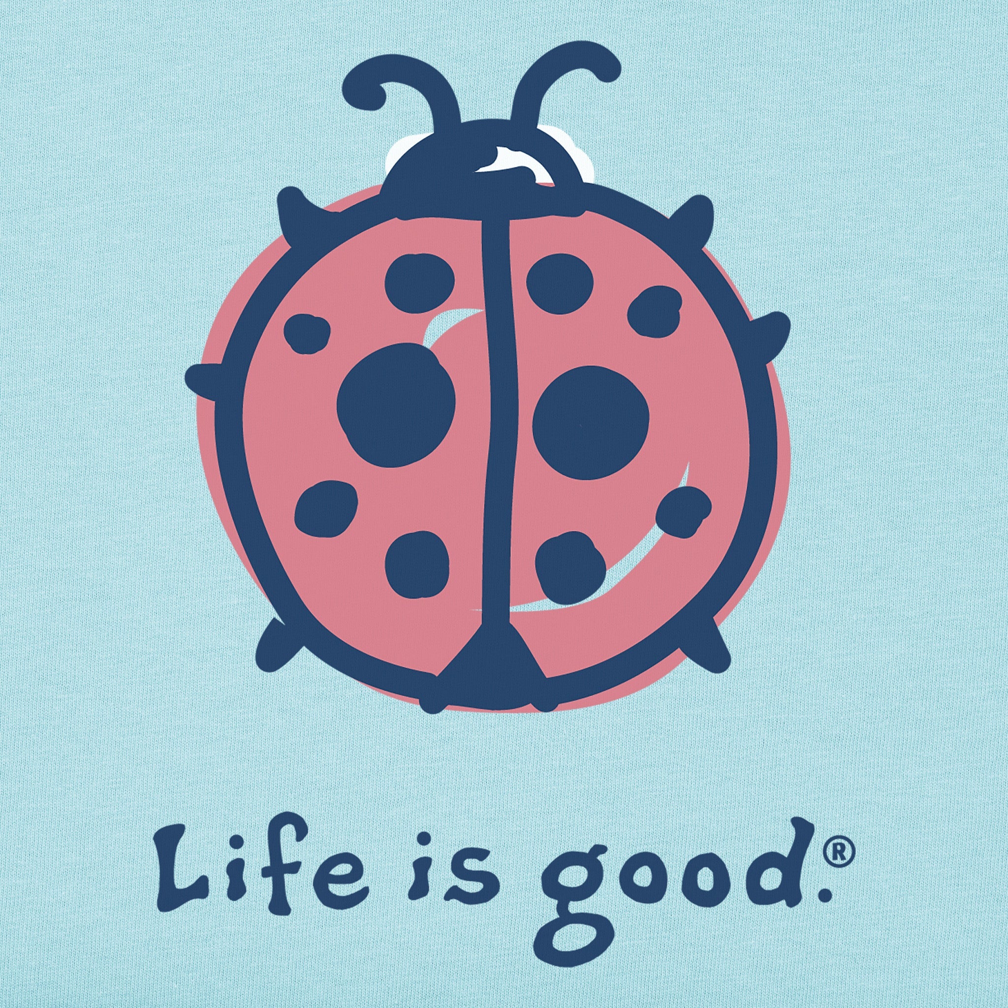 Kids Ladybug Short Sleeve Crusher Tee