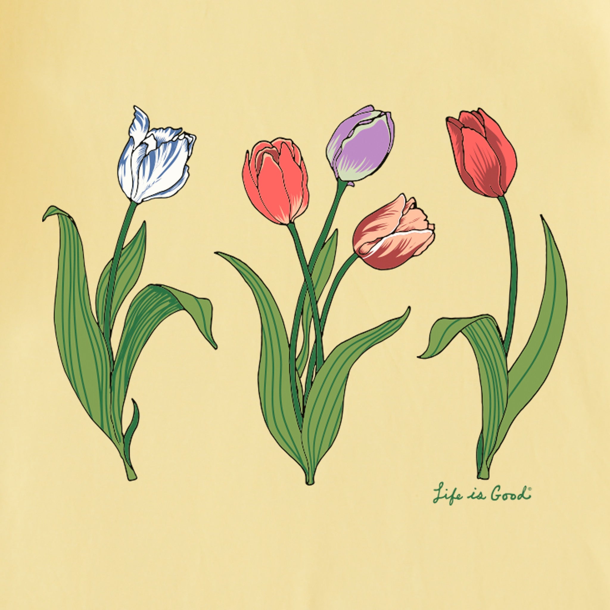 Women's 3 Genuine Tulips Short Sleeve Crusher Tee