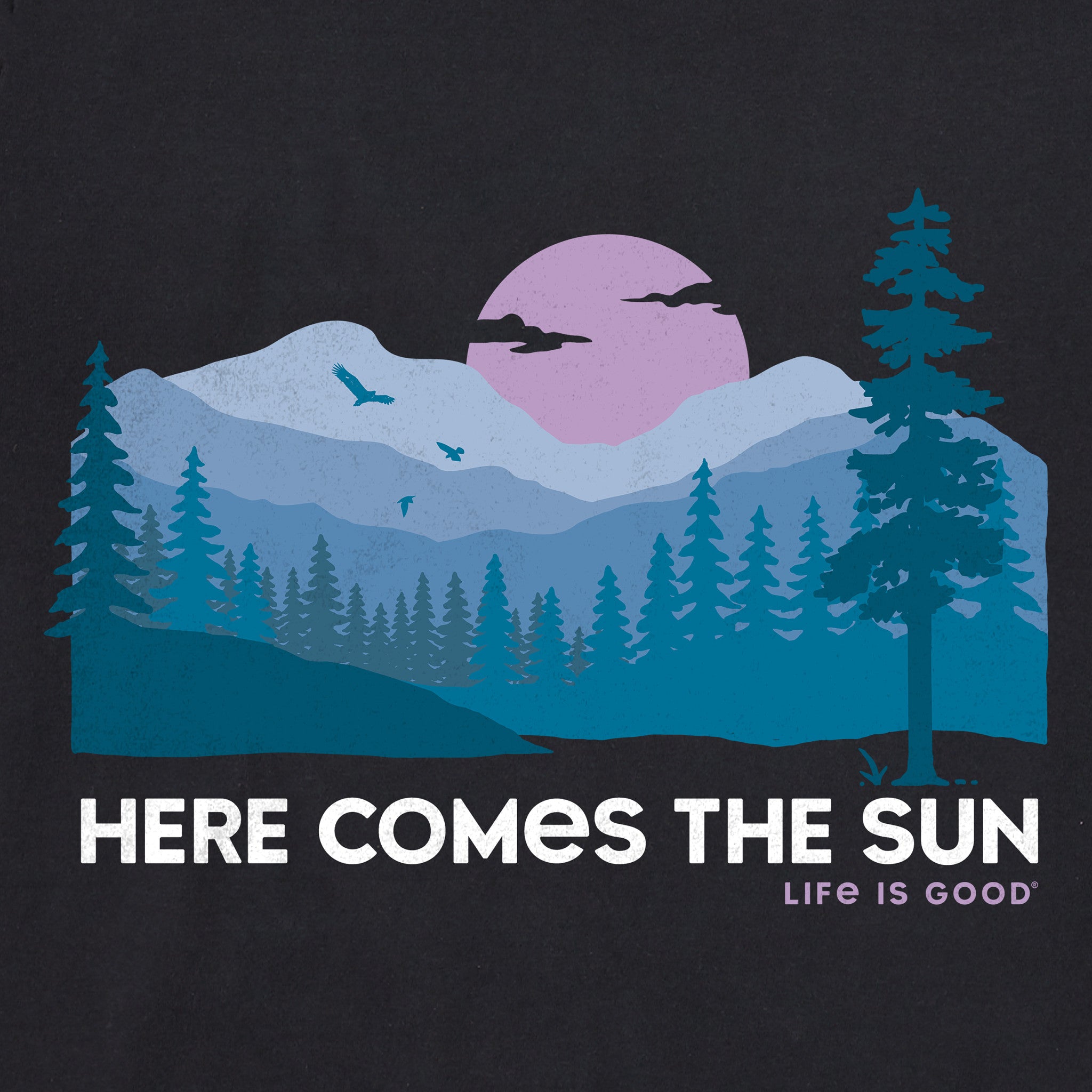Women's Here Comes the Sun Evergreens Short Sleeve Crusher Vee