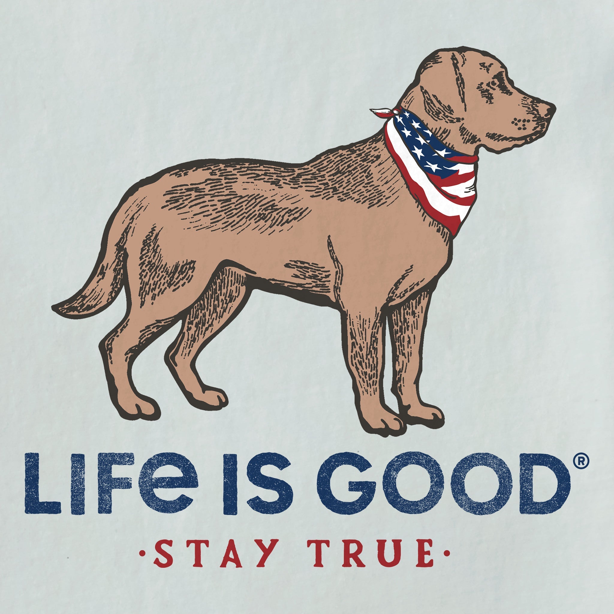 Men's Stay True Dog Long Sleeve Crusher Tee