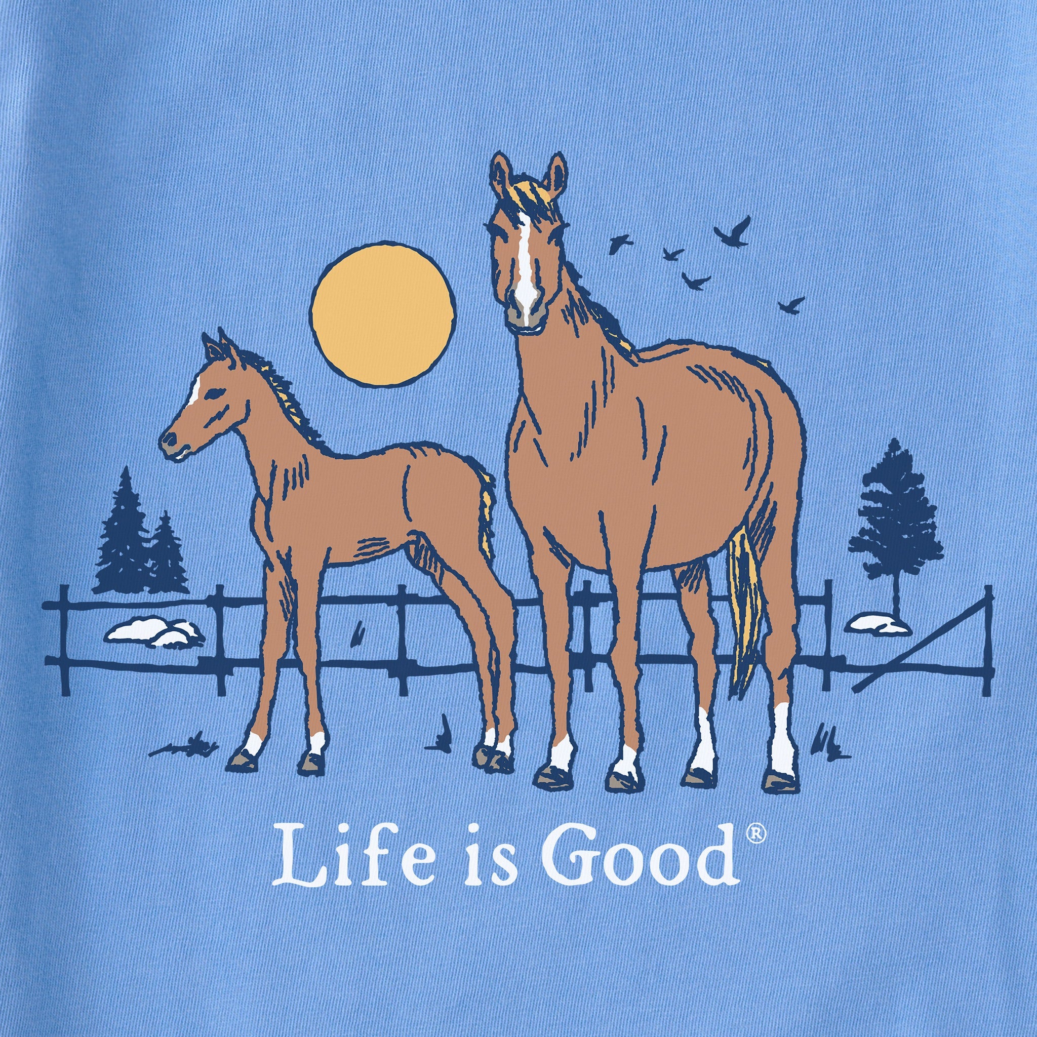 Women's Horse and Foal Short Sleeve Tee