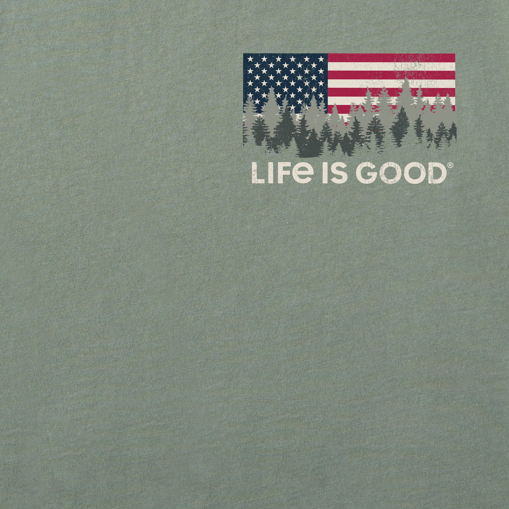 Men's Flag Forest LIG Simply True Fleece Hoodie
