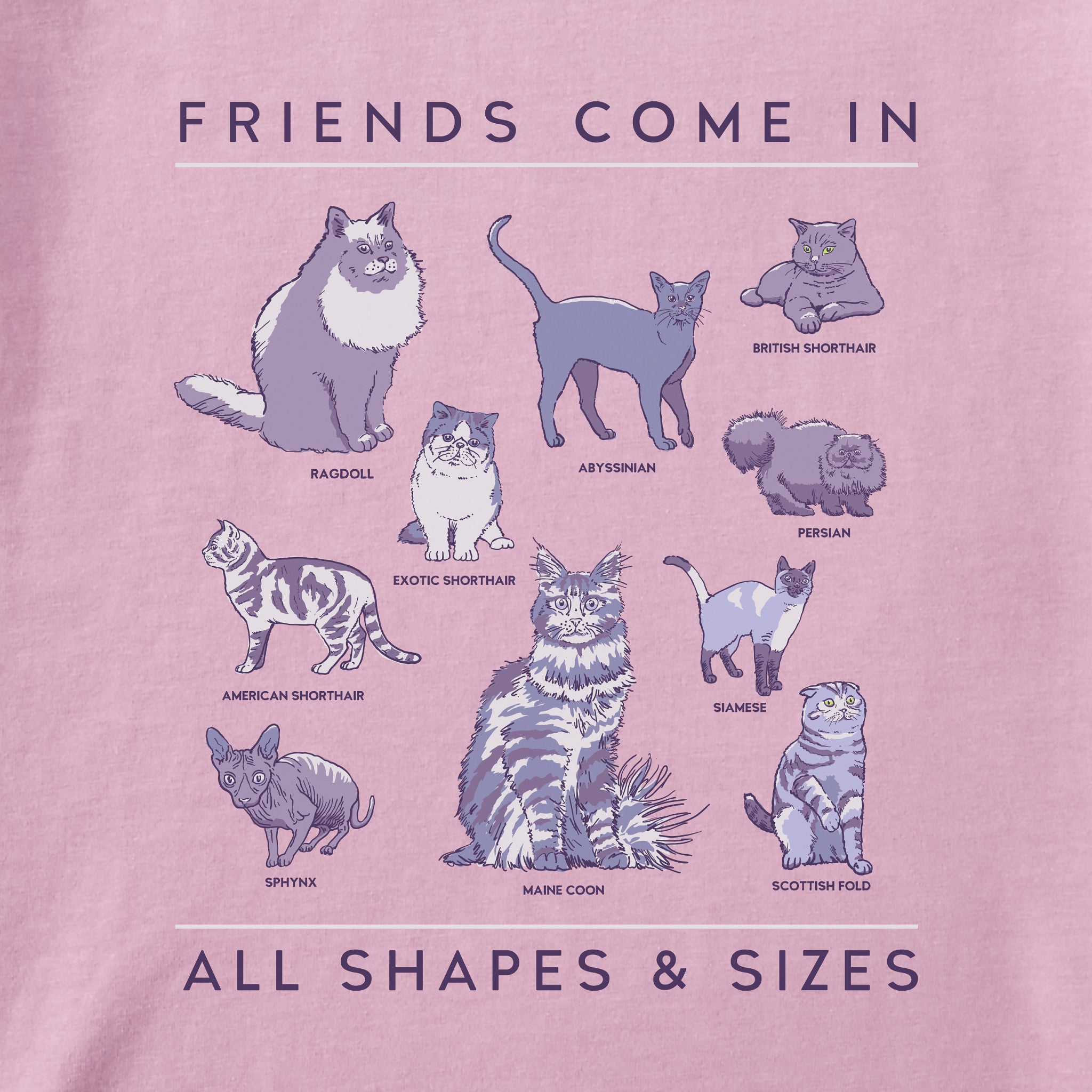 Women's Cat Friends Shapes & Sizes Short Sleeve Tee