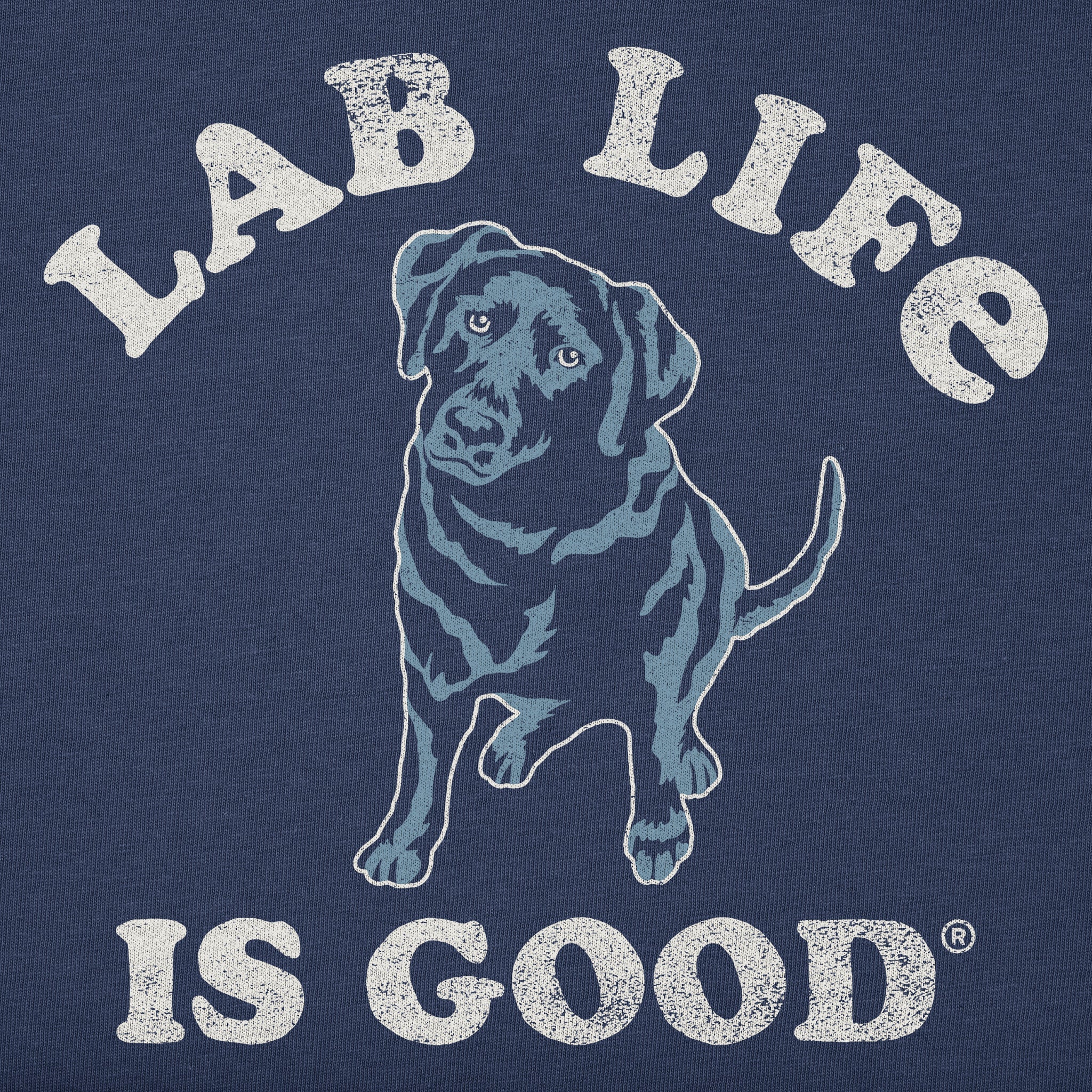 Women's Lab is Good Short Sleeve Crusher Tee