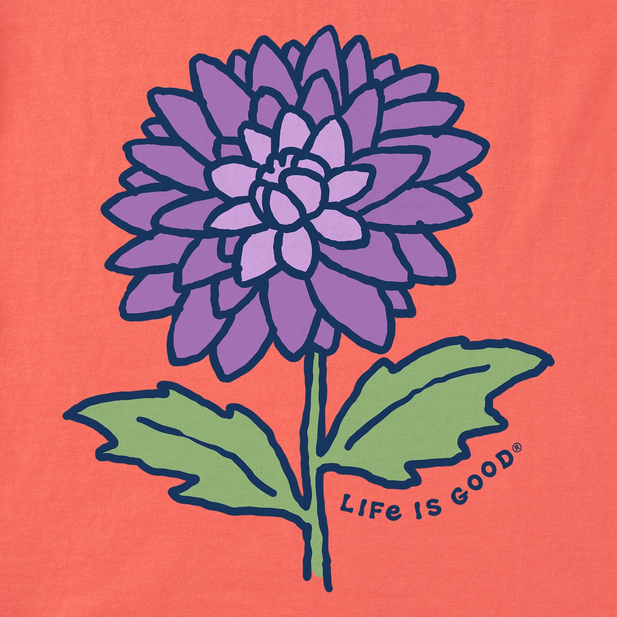 Women's Dahlia Short Sleeve Vee