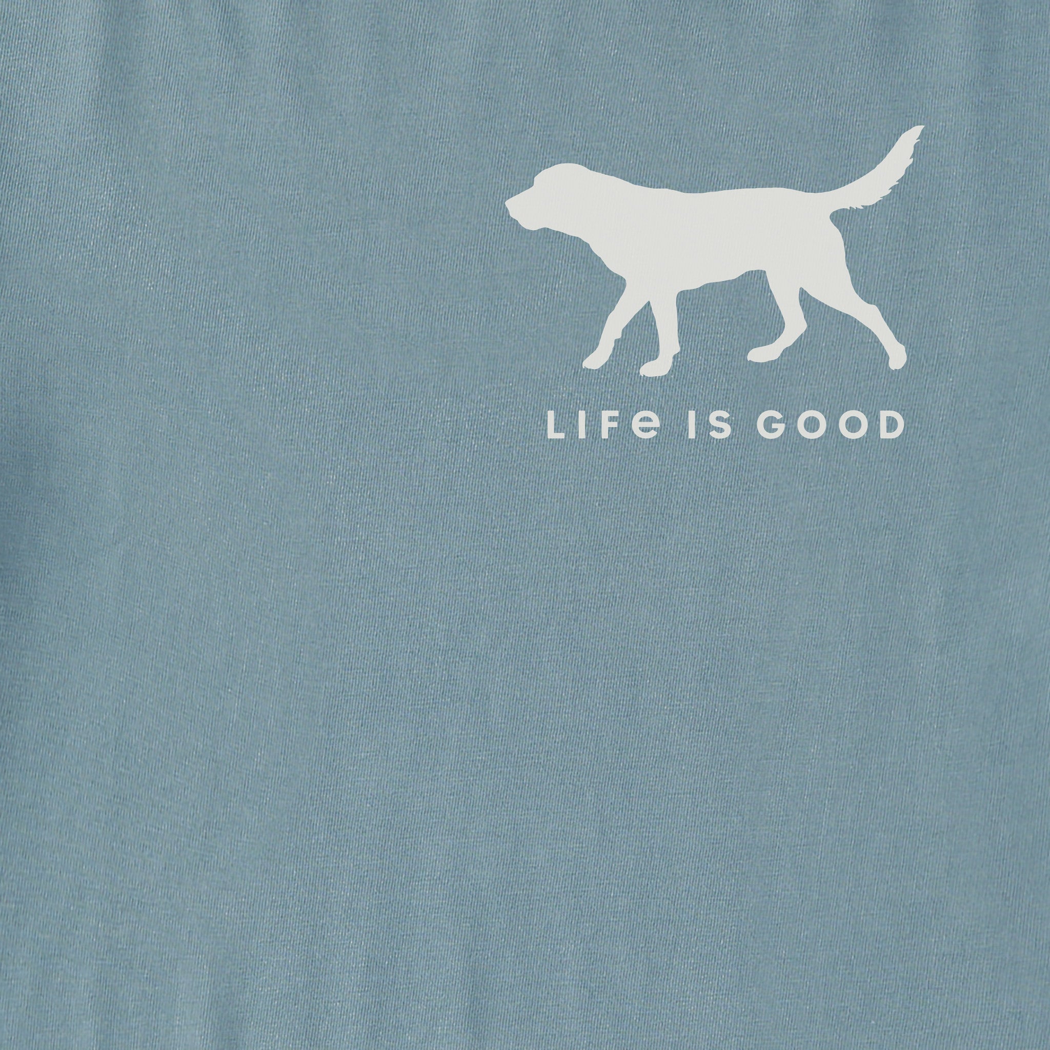 Men's Dog Walking Short Sleeve Crusher Tee