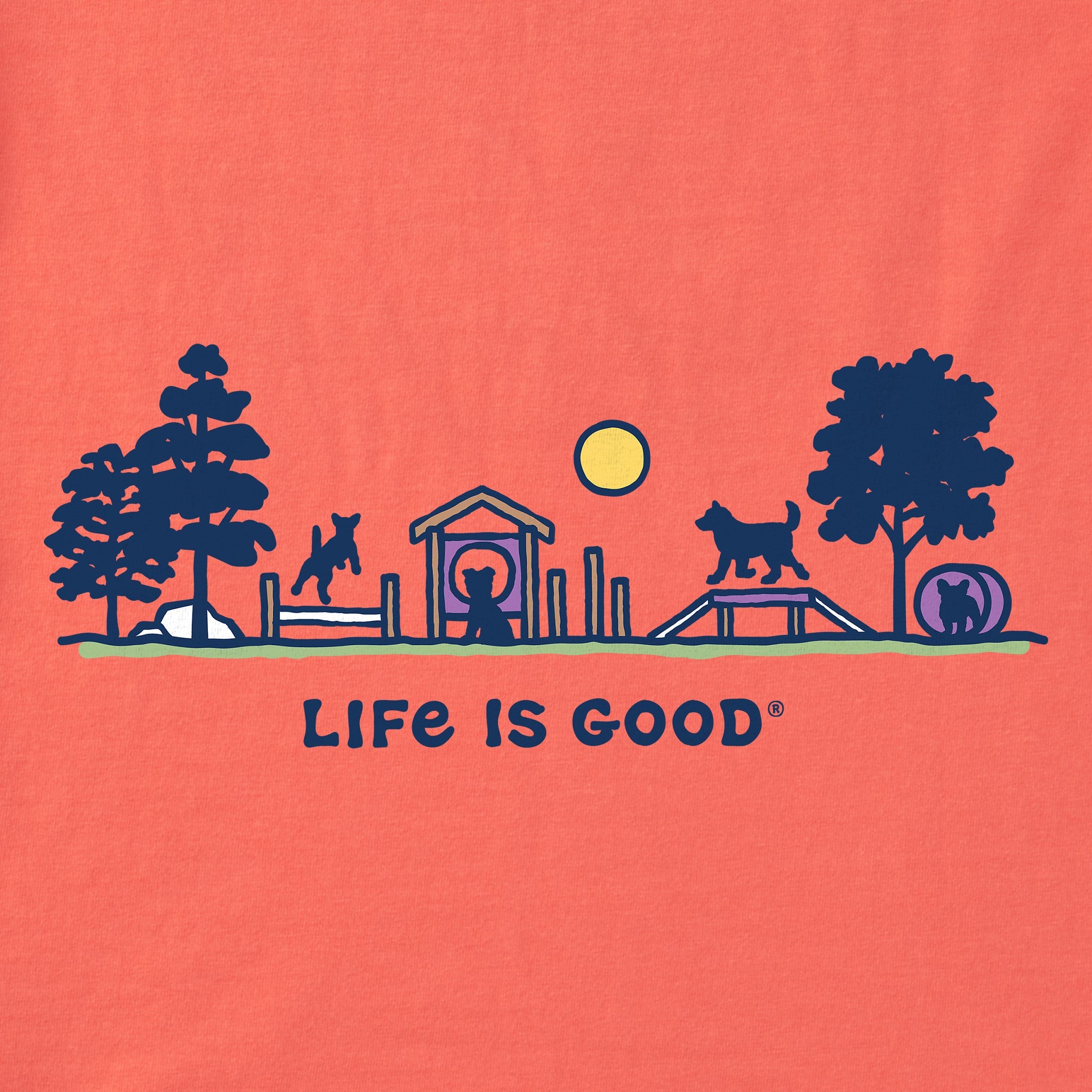 Women's Dog Park Vista Short Sleeve Vee