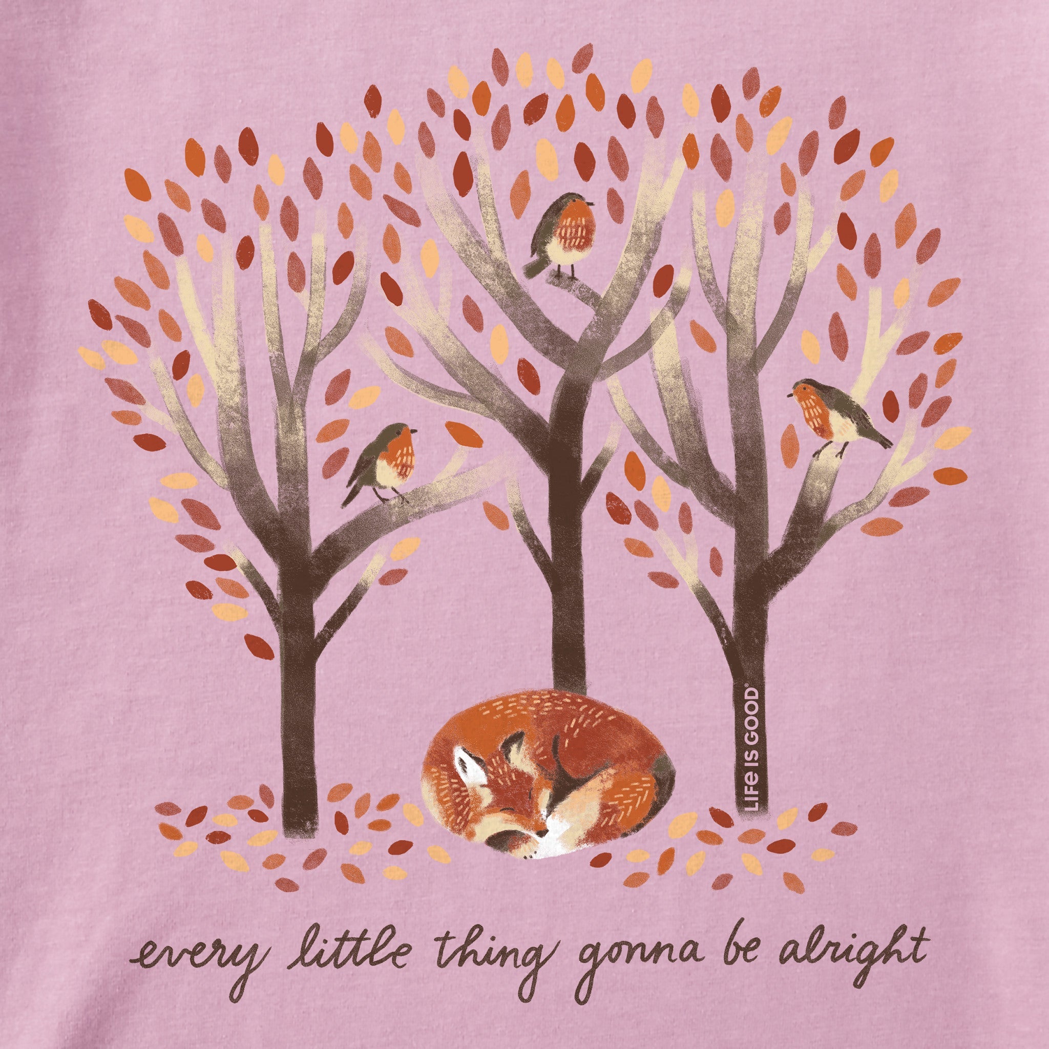 Women's Every Little Thing Fox Short Sleeve Tee