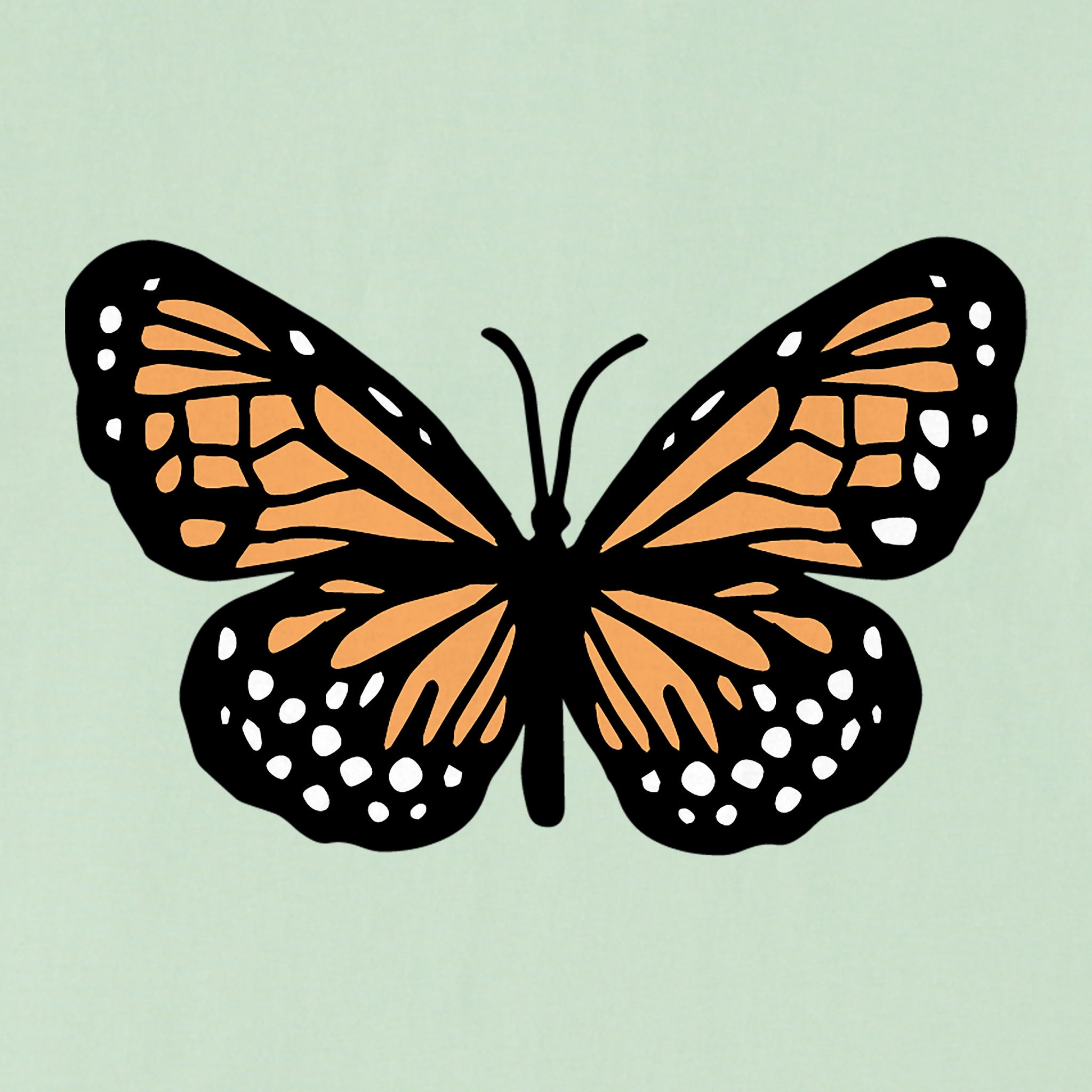 Women's Clean Butterfly Short Sleeve Crusher Boxy Tee