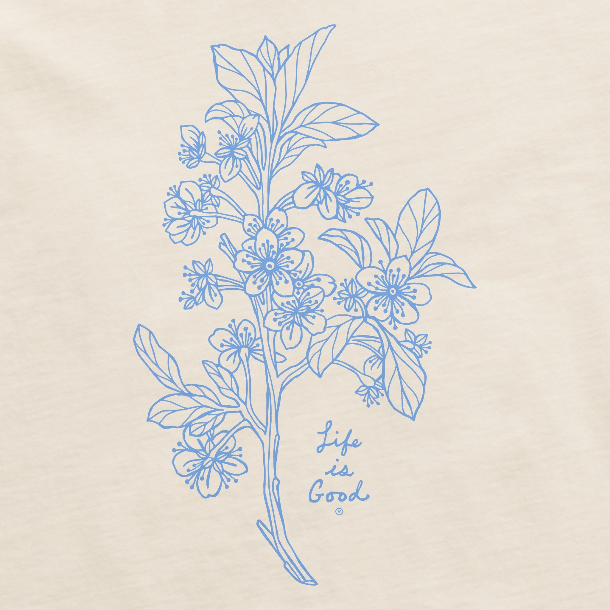 Women's Antique Plum Blossom Short Sleeve Crusher Boxy Tee