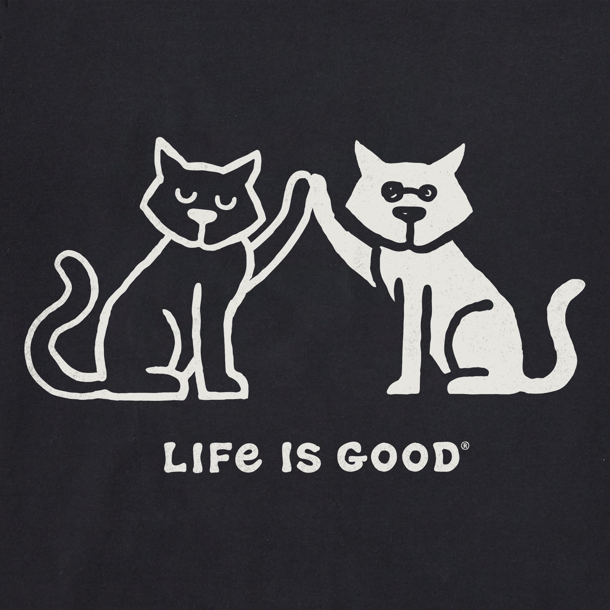 Women's High Five Cats Short Sleeve Vee