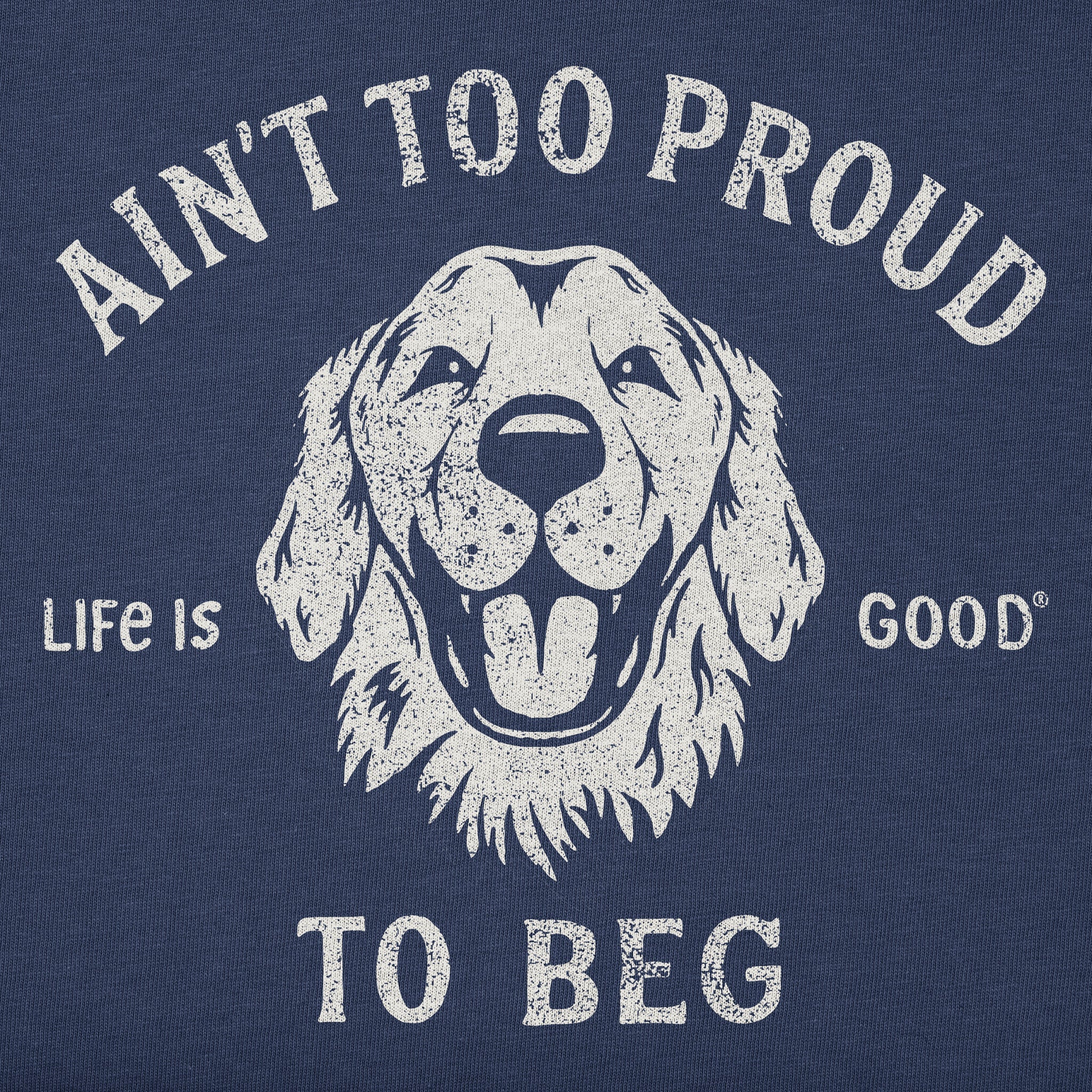 Women's Ain't Too Proud to Beg Short Sleeve Crusher Boxy Tee