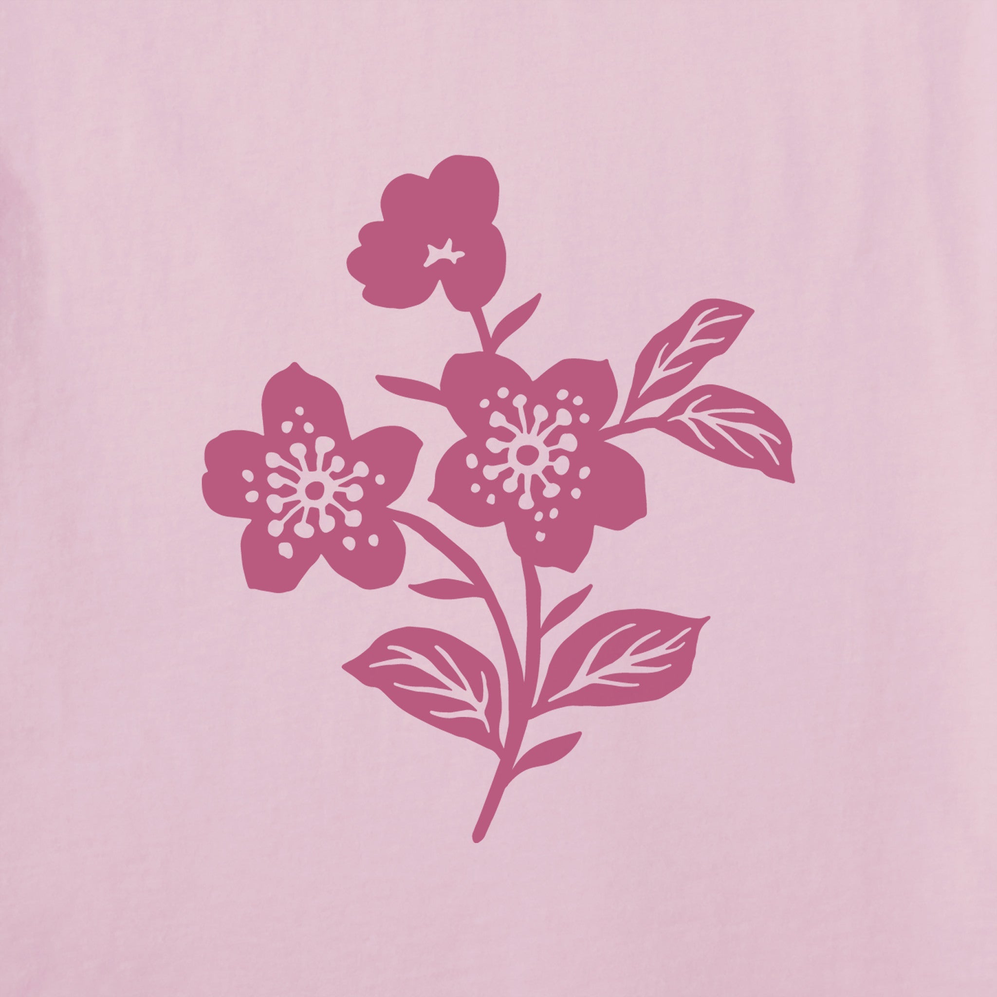 Women's Crafty Wildflowers Short Sleeve Vee