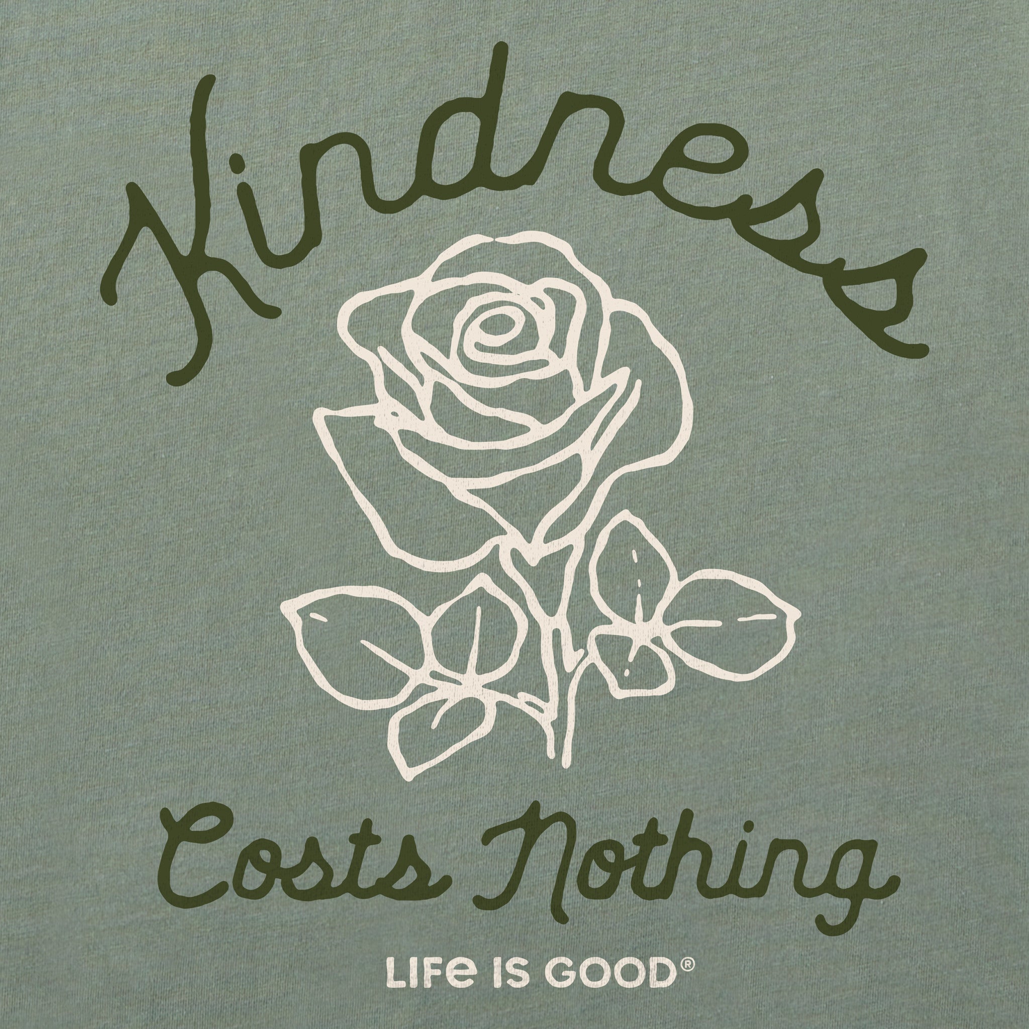 Women's Kindness Costs Nothing Short Sleeve Crusher Boxy Tee
