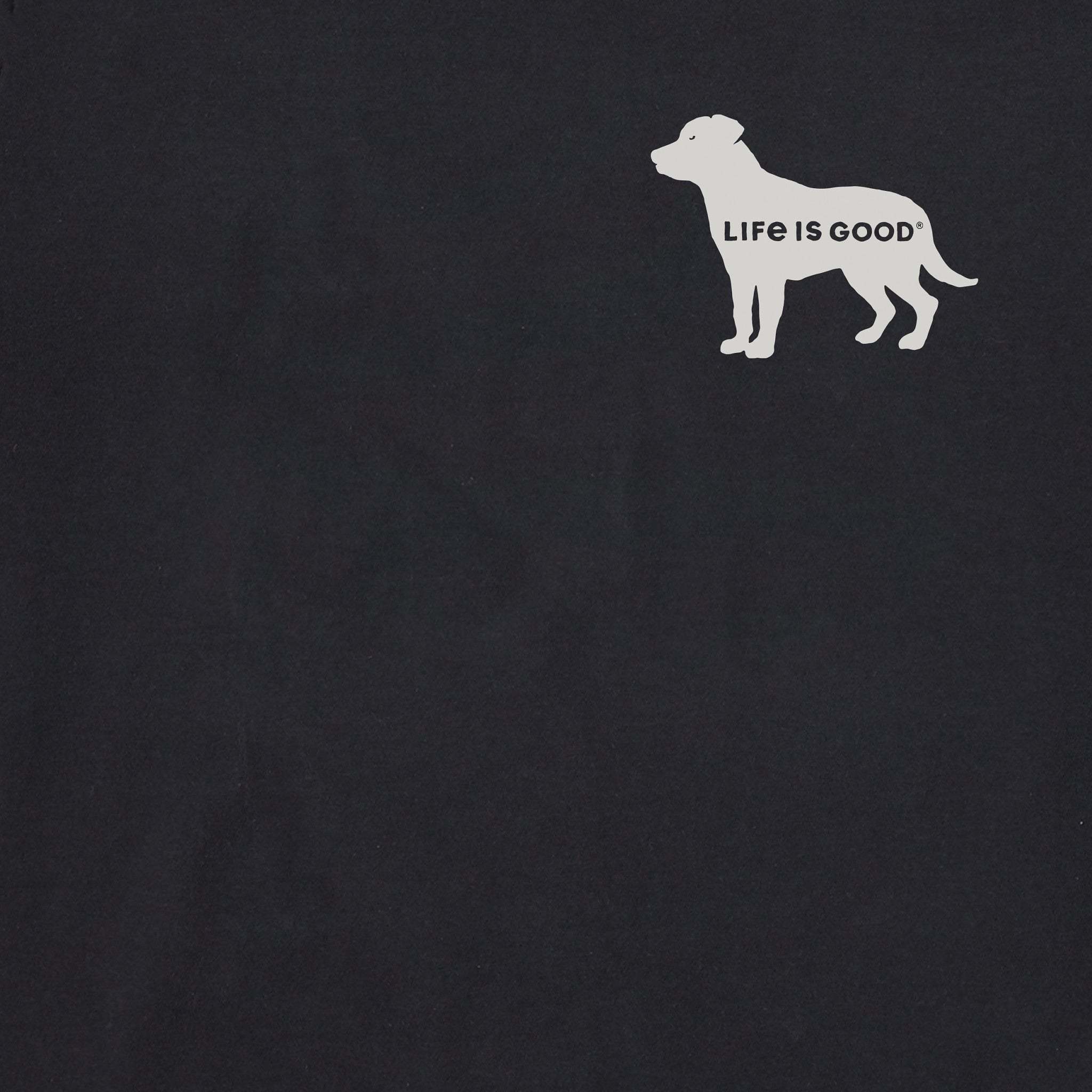 Men's Home of My Dog USA Flag back Short Sleeve Tee