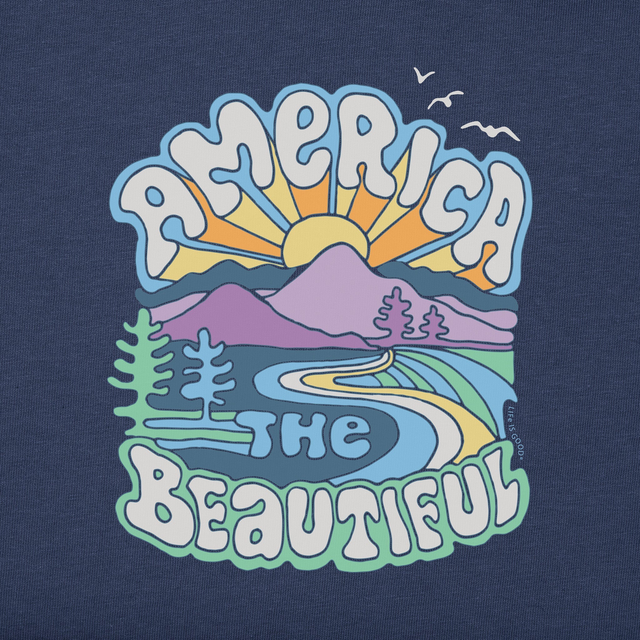 Women's America the Beautiful Short Sleeve Crusher Boxy Tee