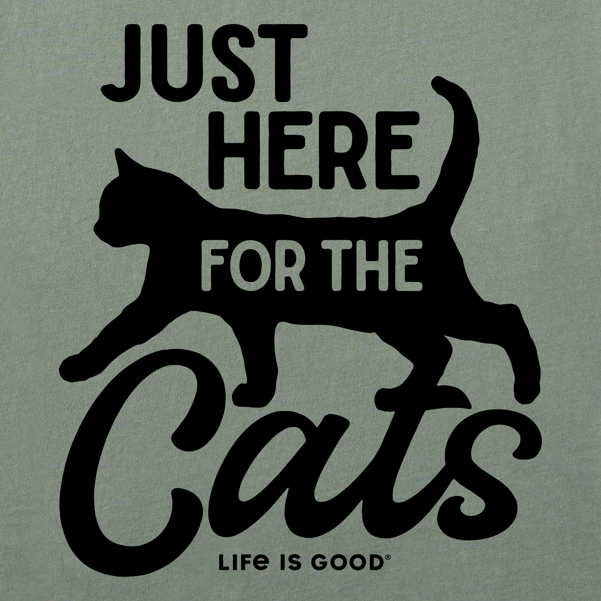 Women's Here for the Cats Short Sleeve Crusher Boxy Tee