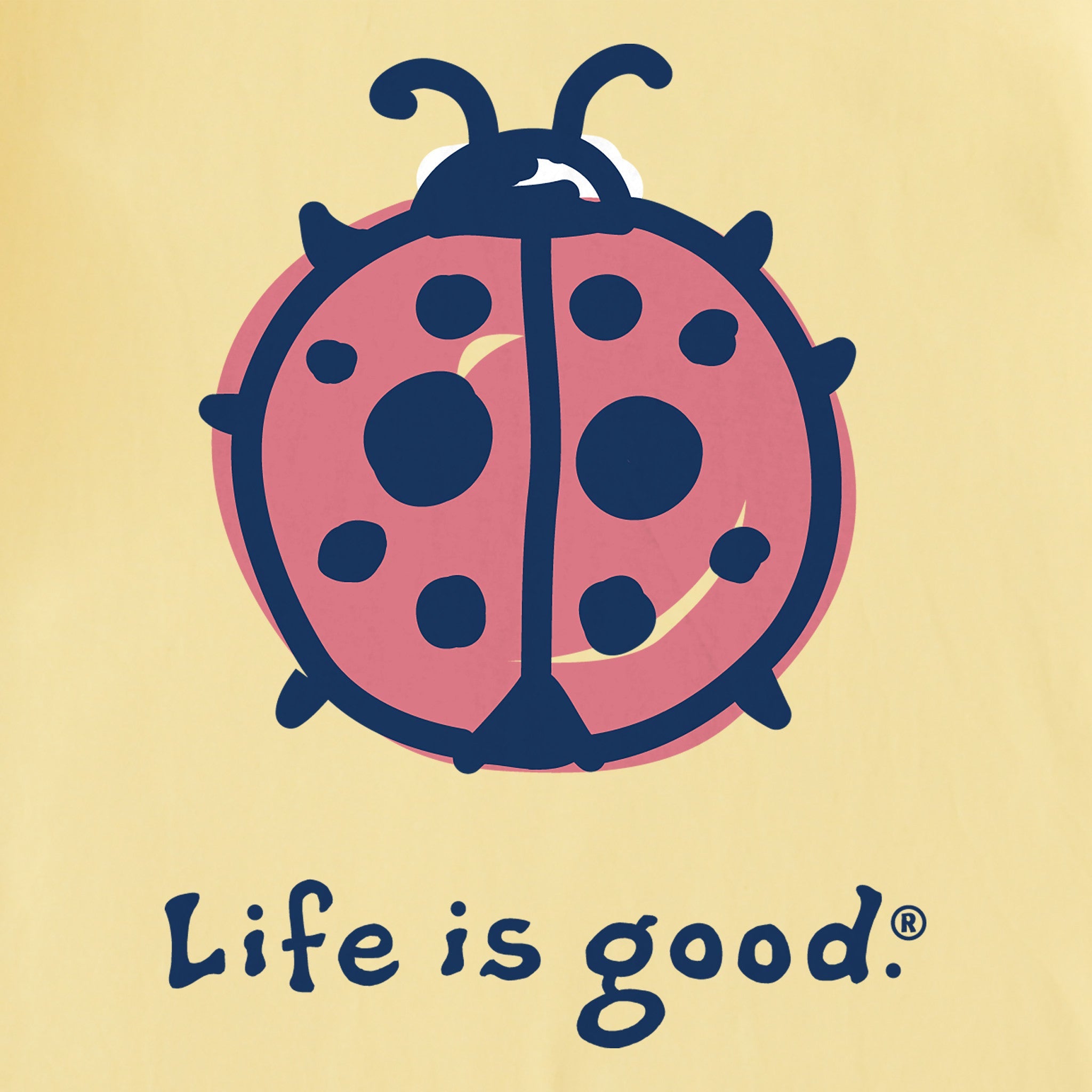 Kids Ladybug Short Sleeve Crusher Tee