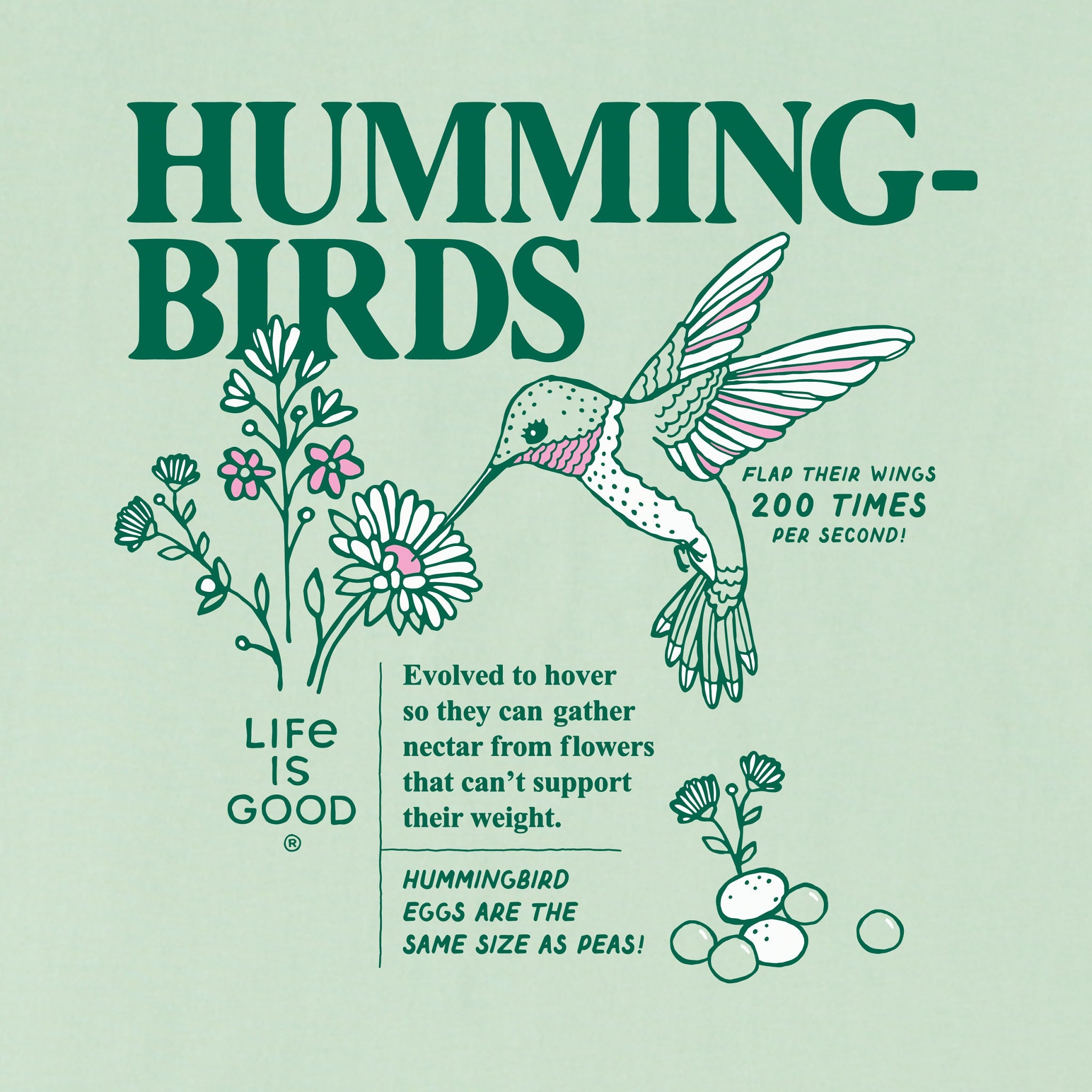 Women's Hummingbird Facts Short Sleeve Crusher Boxy Tee