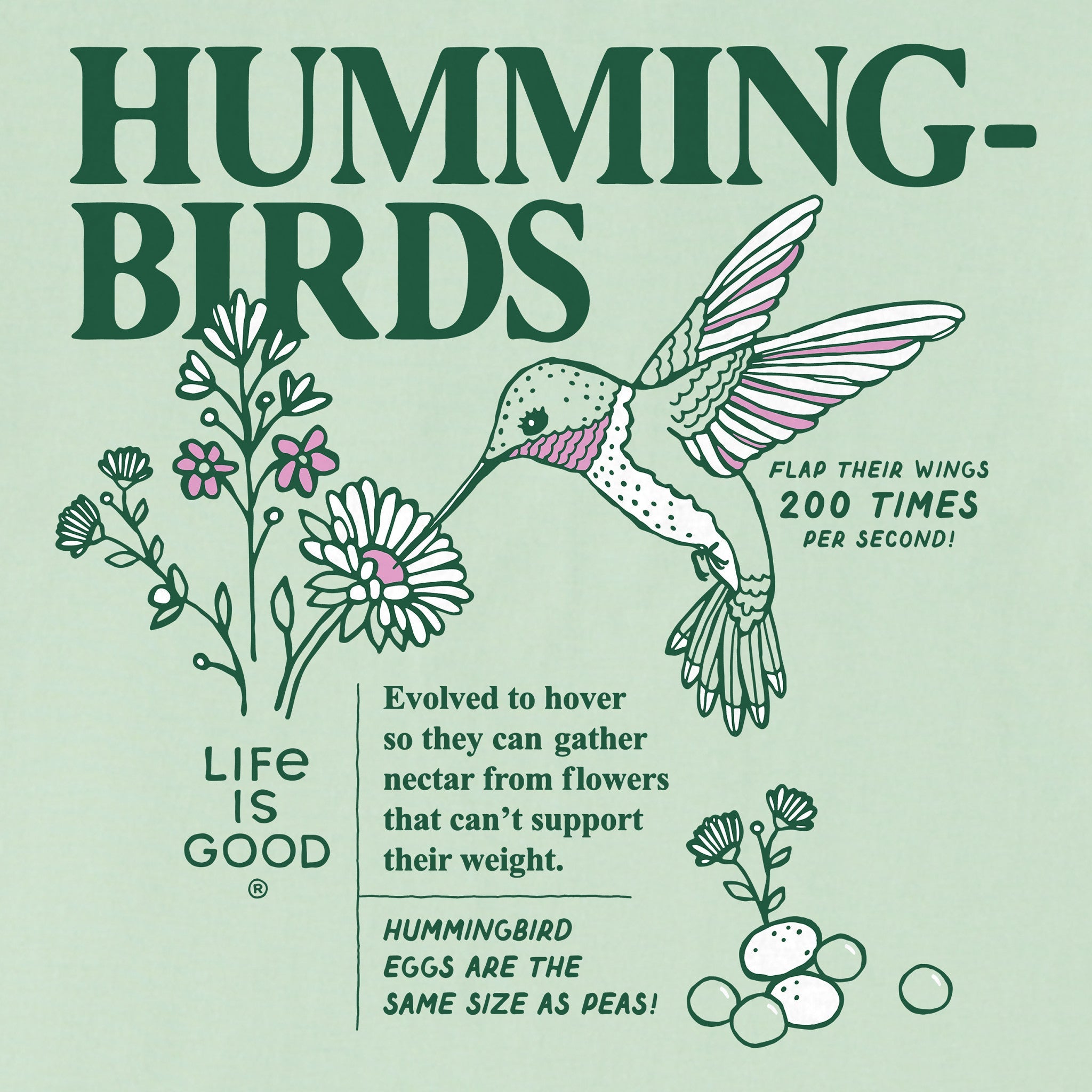Women's Hummingbird Facts Short Sleeve Crusher Boxy Tee