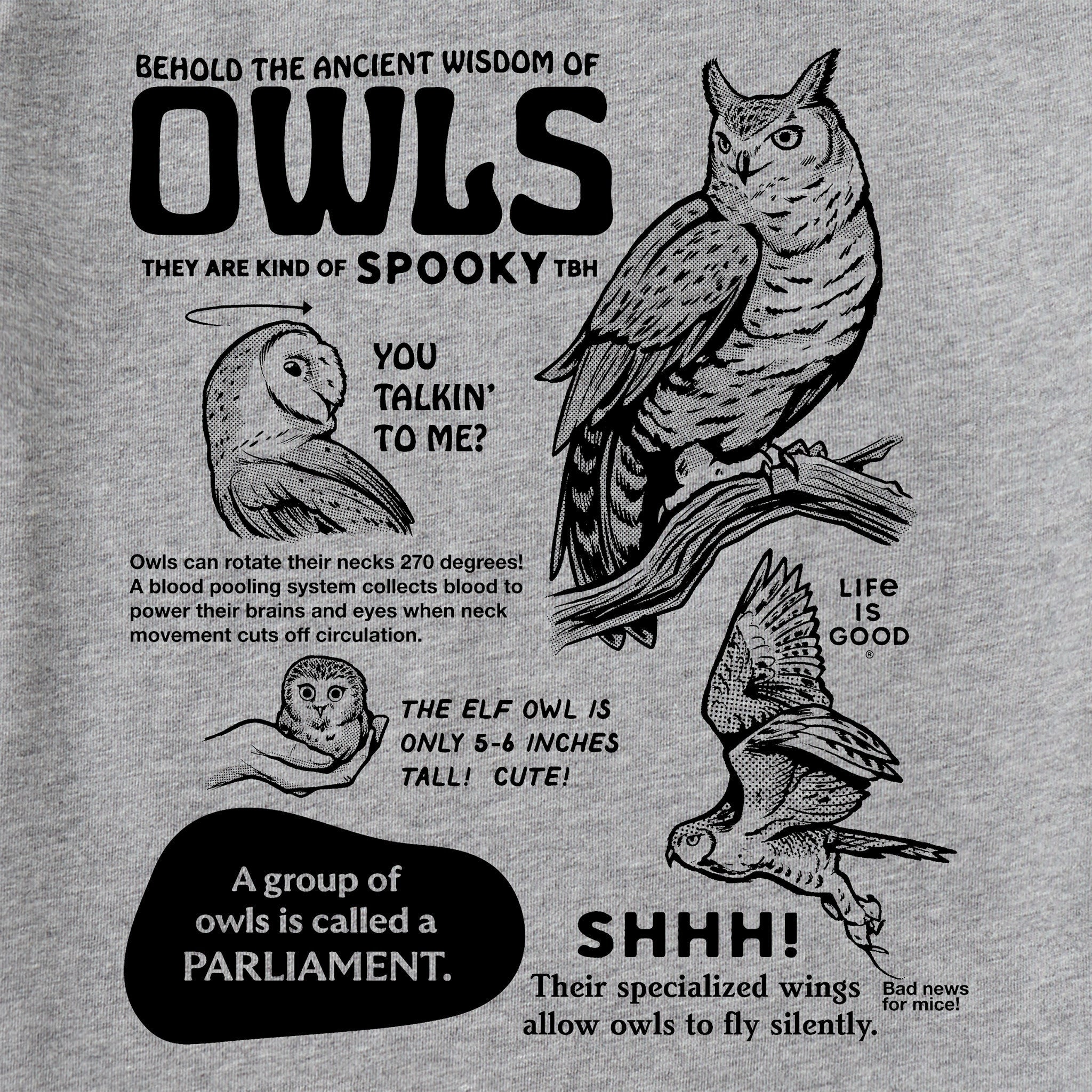 Kids The Wisdom of Owls Short Sleeve Crusher Tee