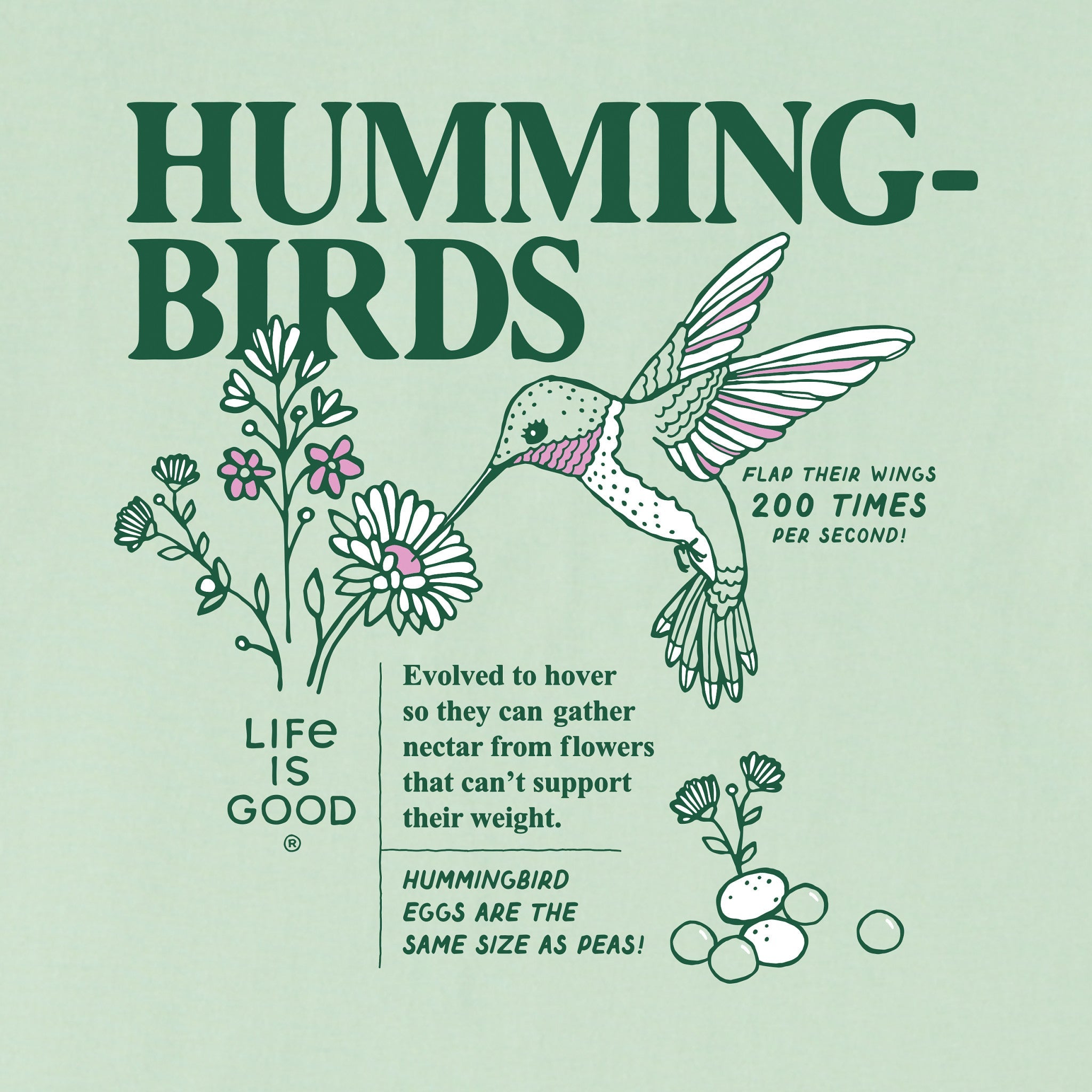 Women's Hummingbird Facts Short Sleeve Crusher Tee