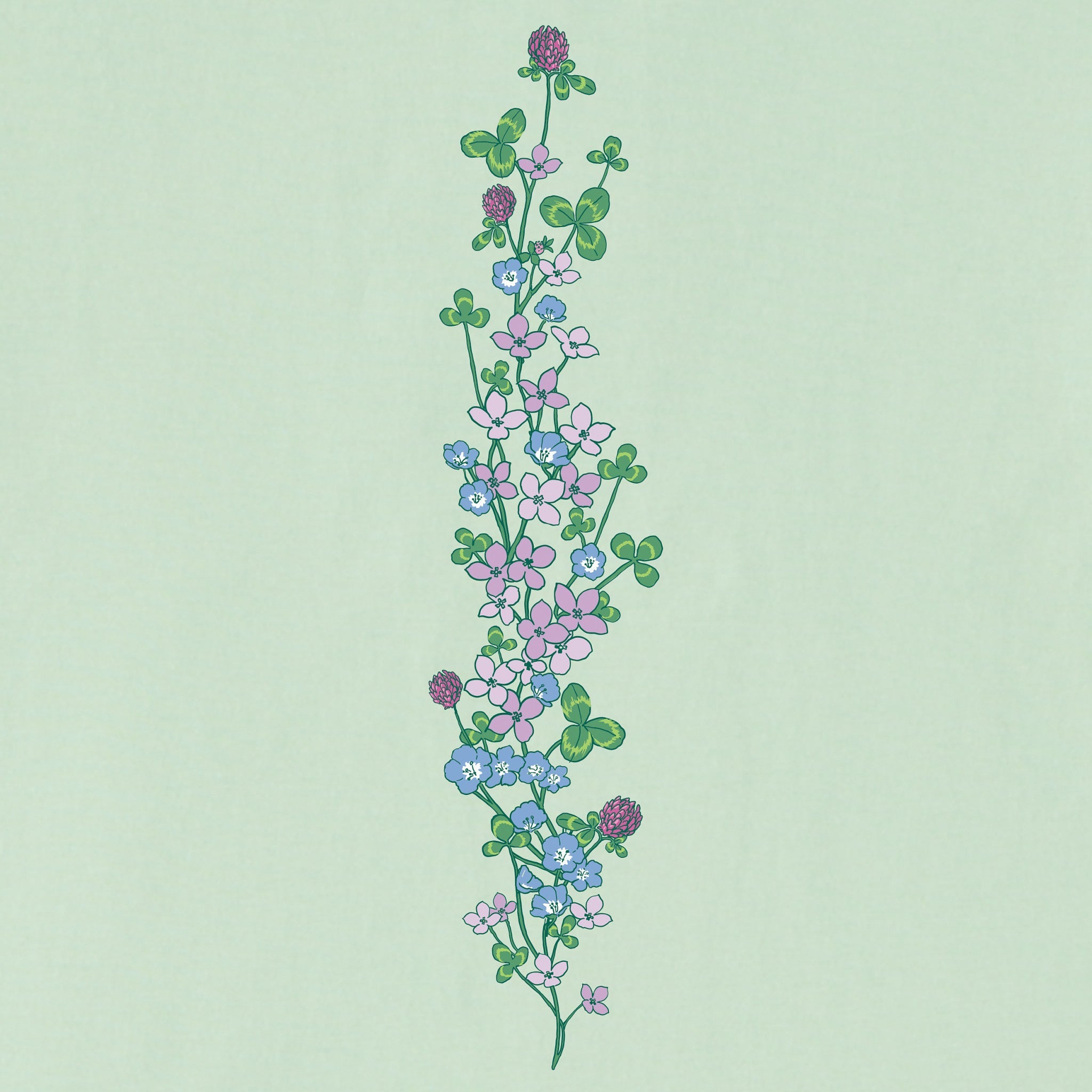 Women's Clovers & Wildflowers Long Sleeve Crusher Tee