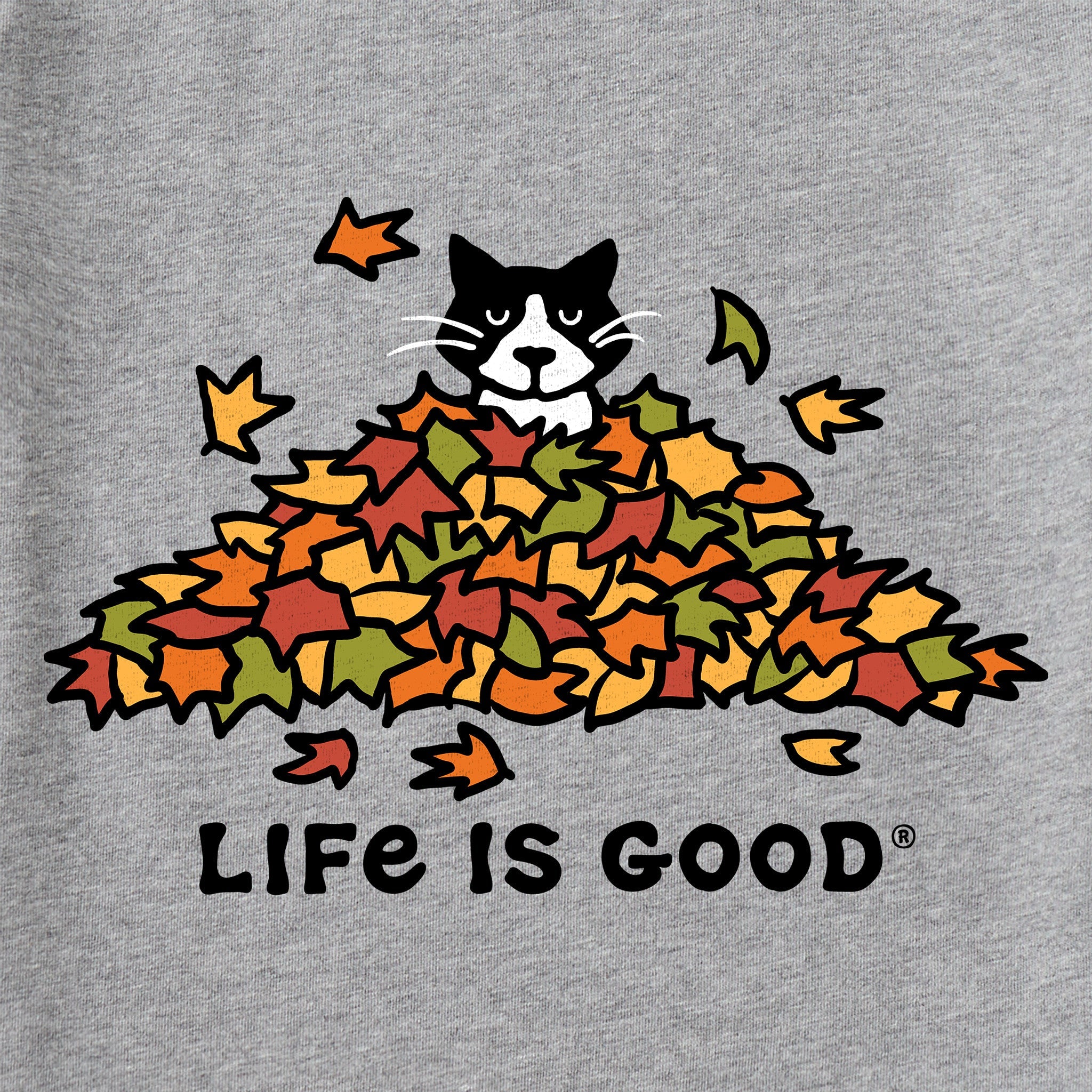 Kids Cat Gets Up and Leaves Short Sleeve Crusher Tee