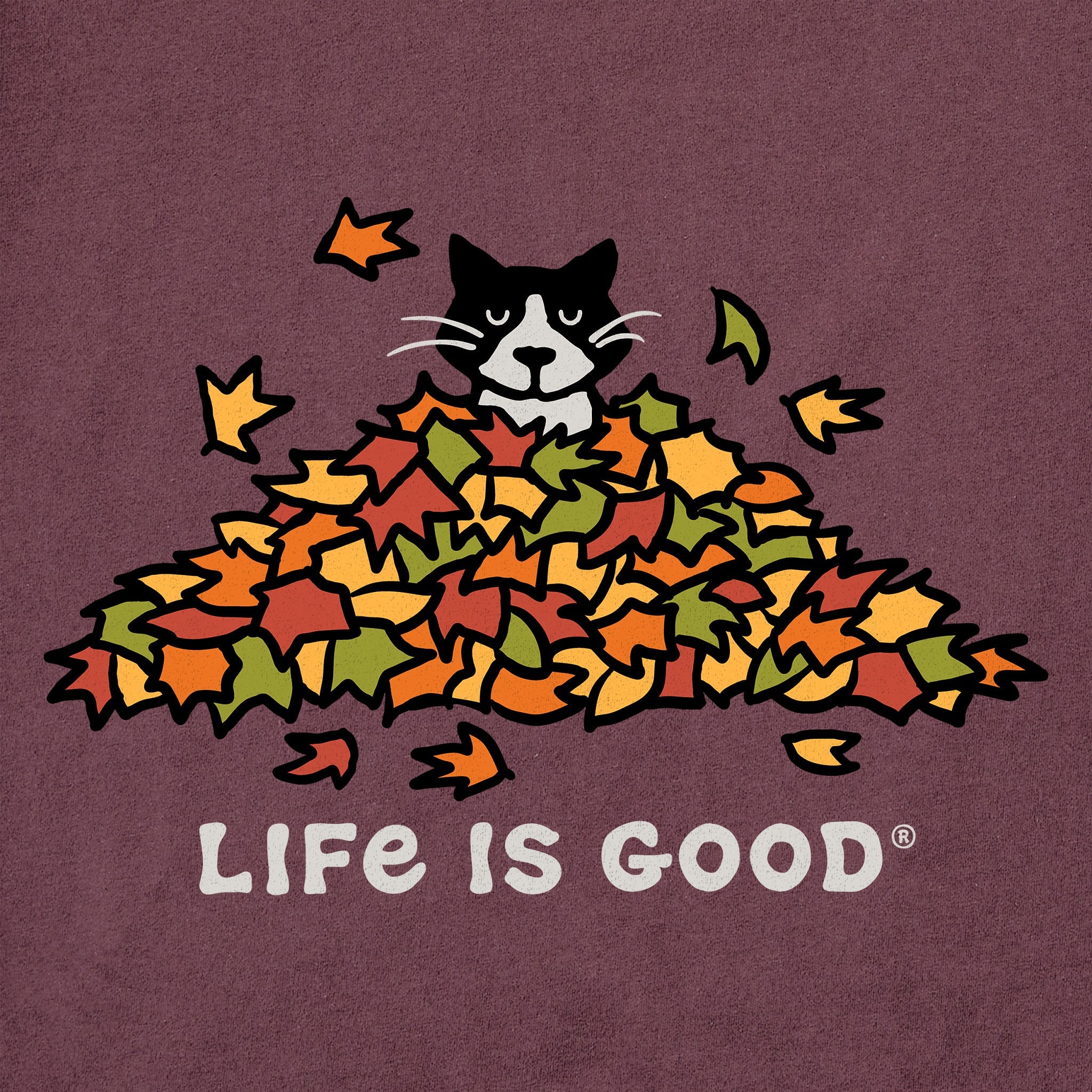 Women's Cat Gets Up and Leaves Short Sleeve Crusher Tee