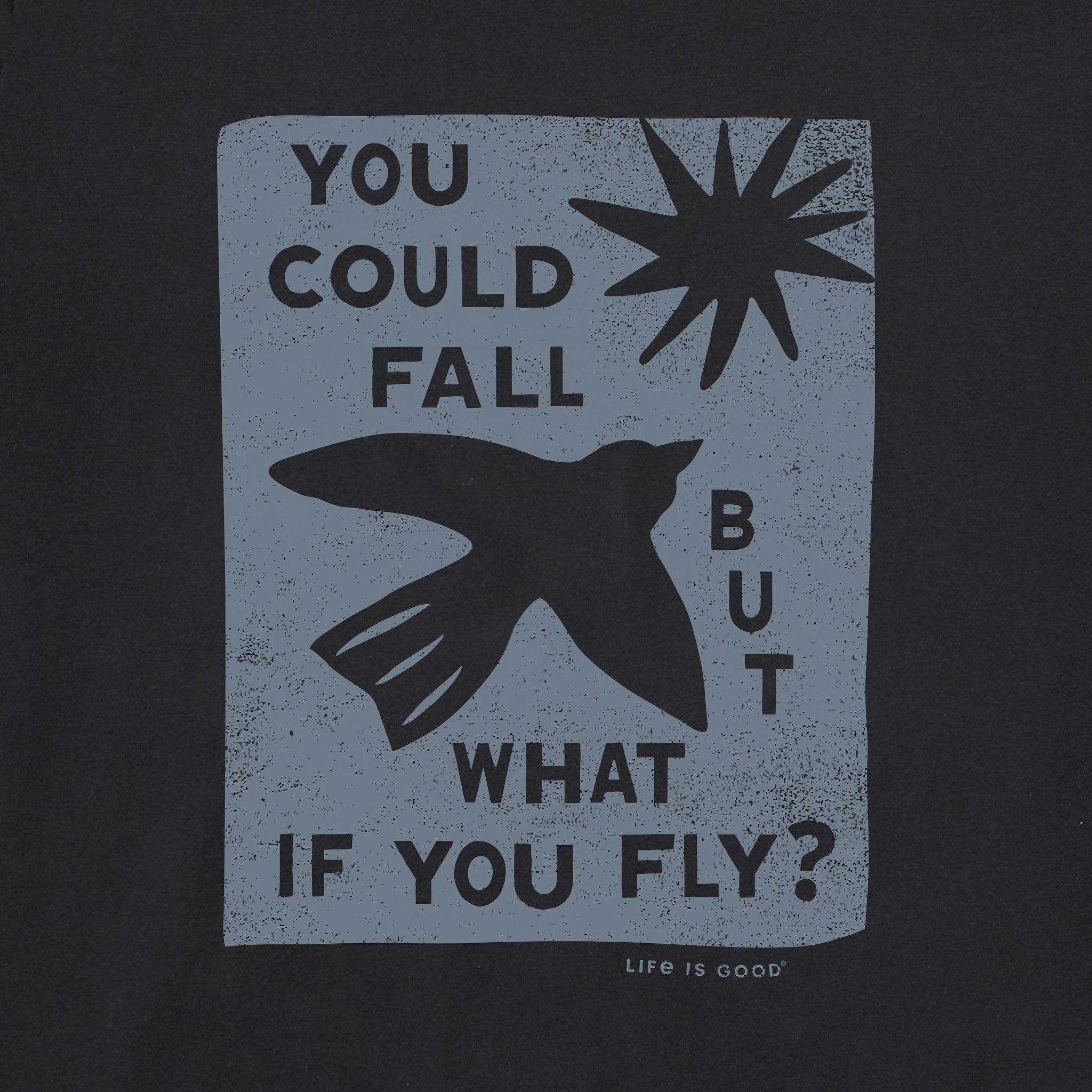 Women's But What if You Fly? Long Sleeve Crusher Boxy Tee