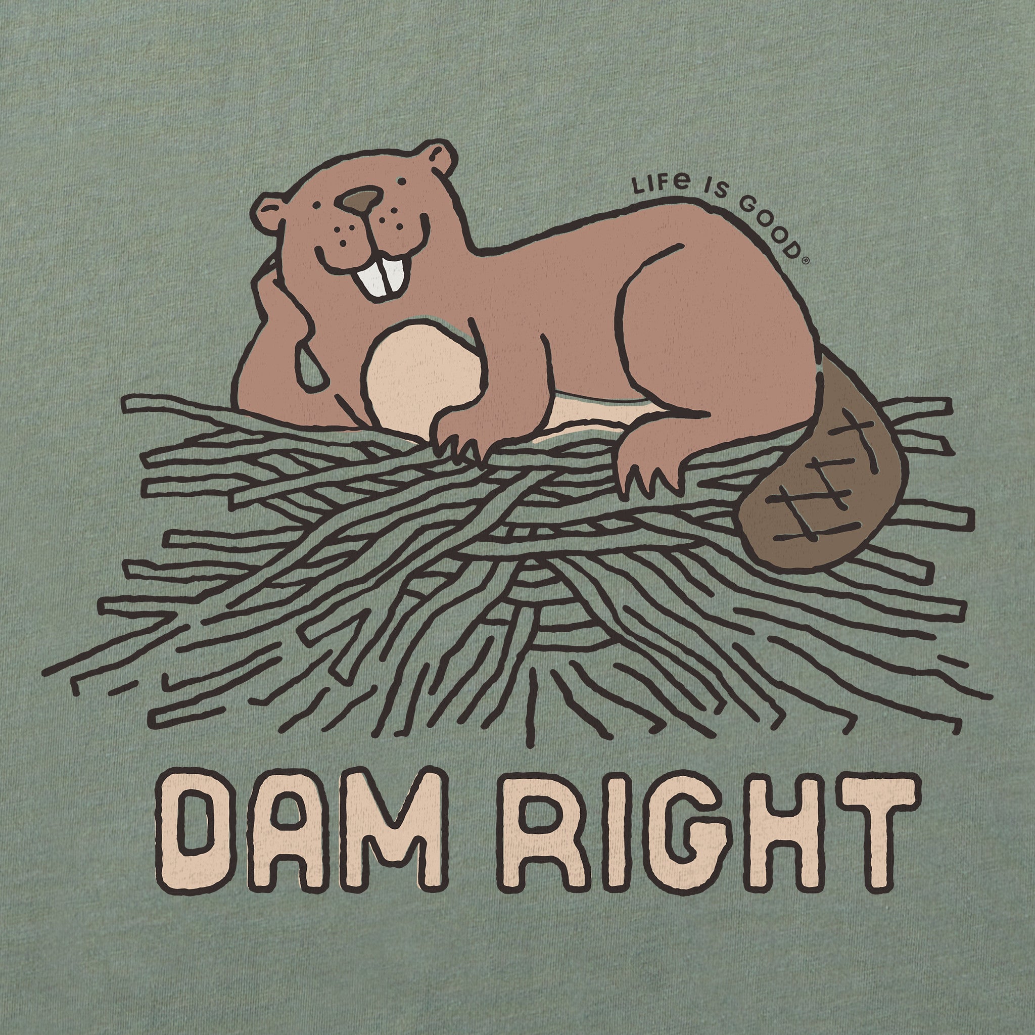 Women's Dam Right Beaver Short Sleeve Crusher Boxy Tee