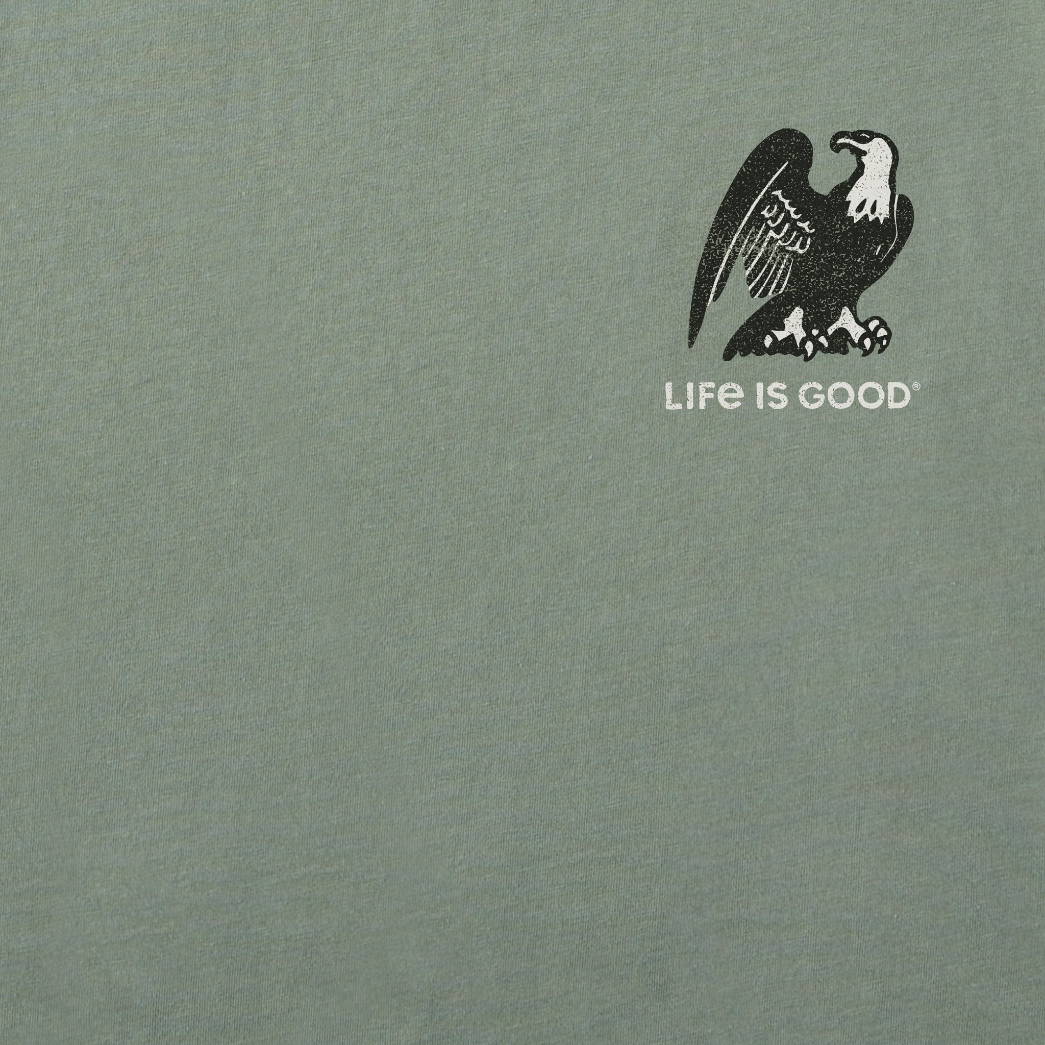 Men's Living the Dream Eagle Classic Crusher Ringer Tee
