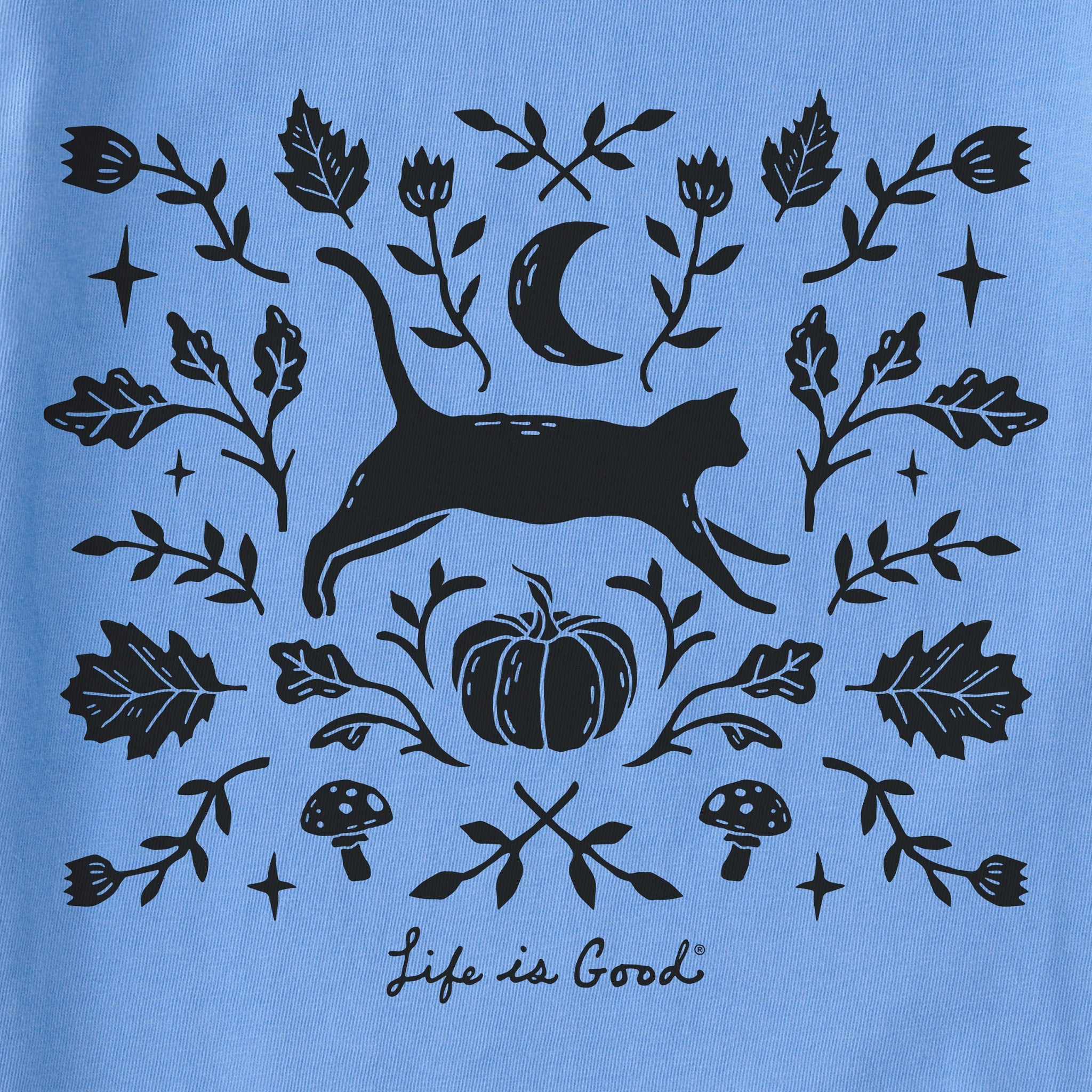 Women's Fall Foliage Cat Short Sleeve Crusher Boxy Tee
