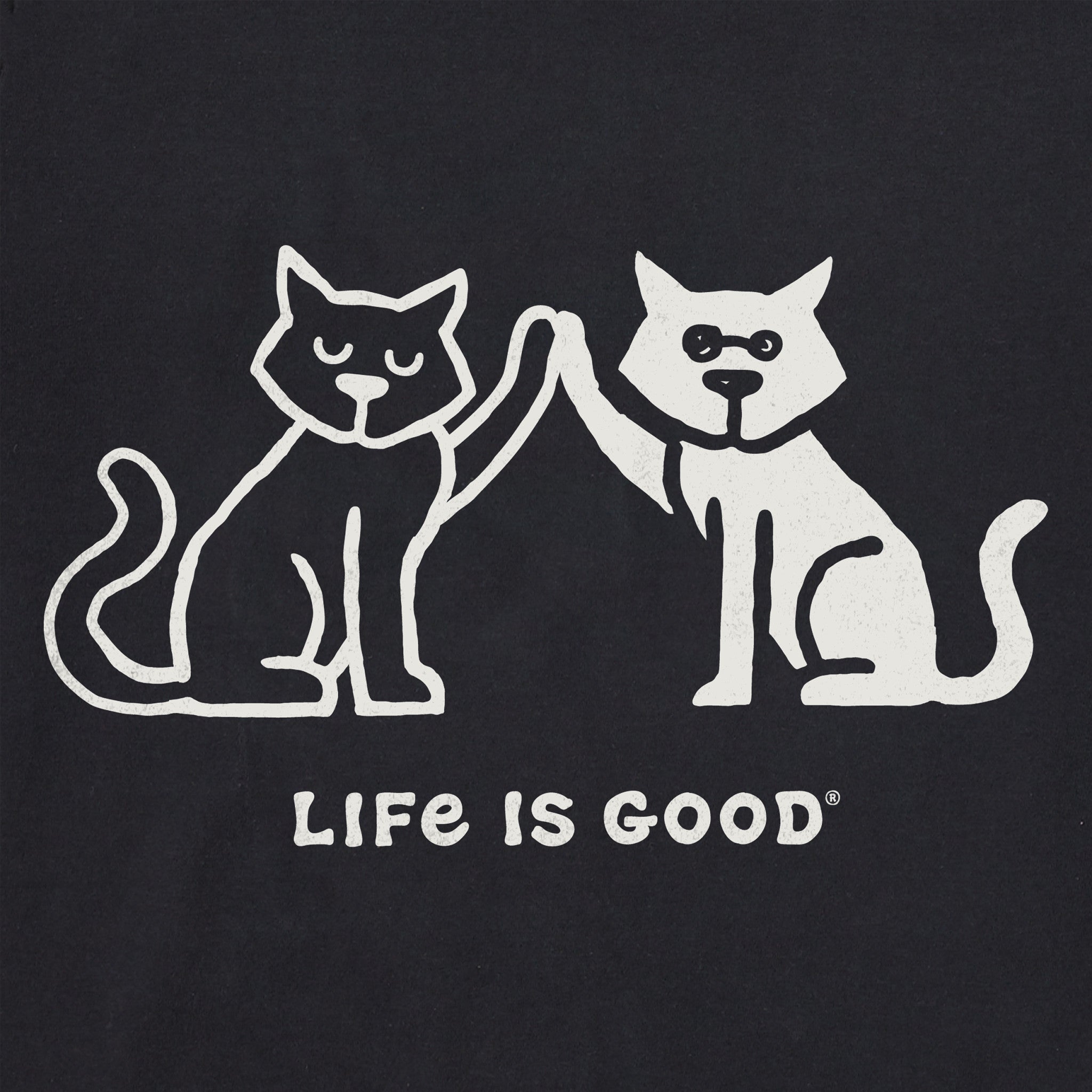 Women's High Five Cats Short Sleeve Crusher Boxy Tee