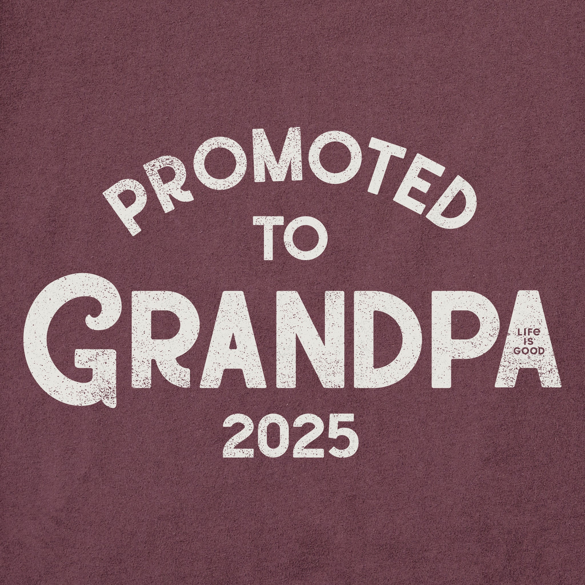 Men's Promoted to Grandpa 2025 Short Sleeve Crusher Tee