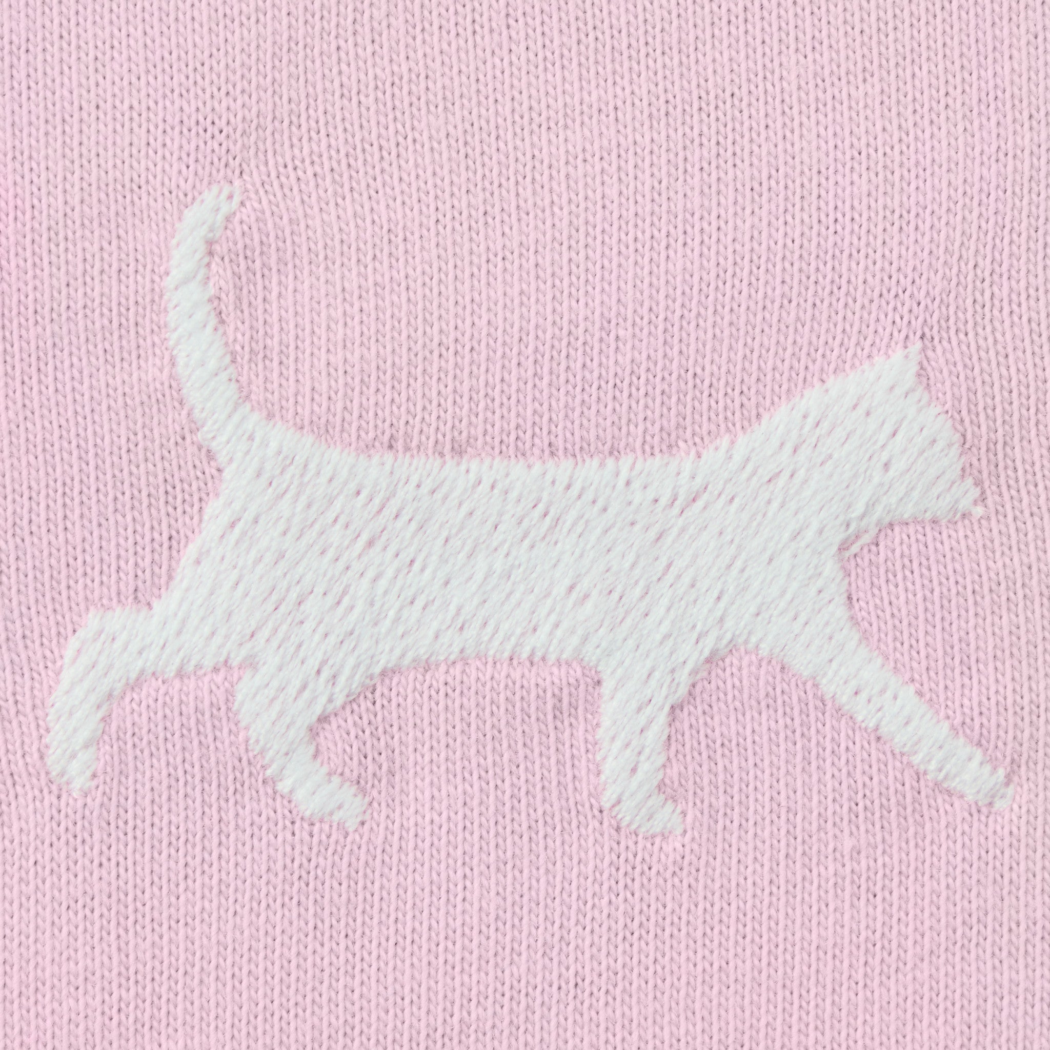 Women's Cat Walking Short Sleeve Crusher Tee