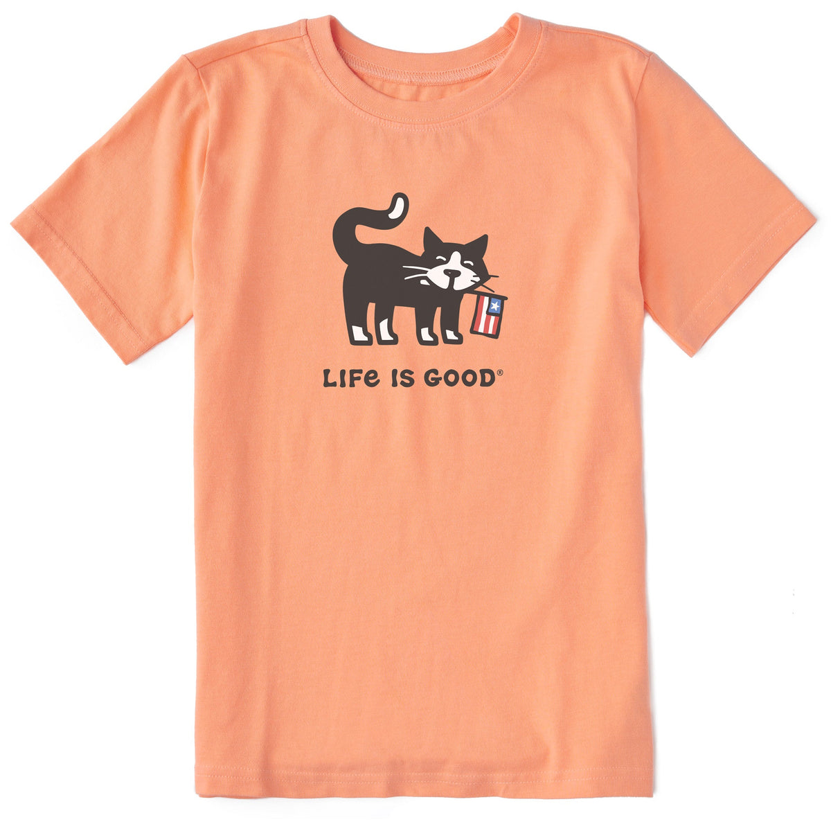 Kids Cat with Flag Short Sleeve Crusher Tee