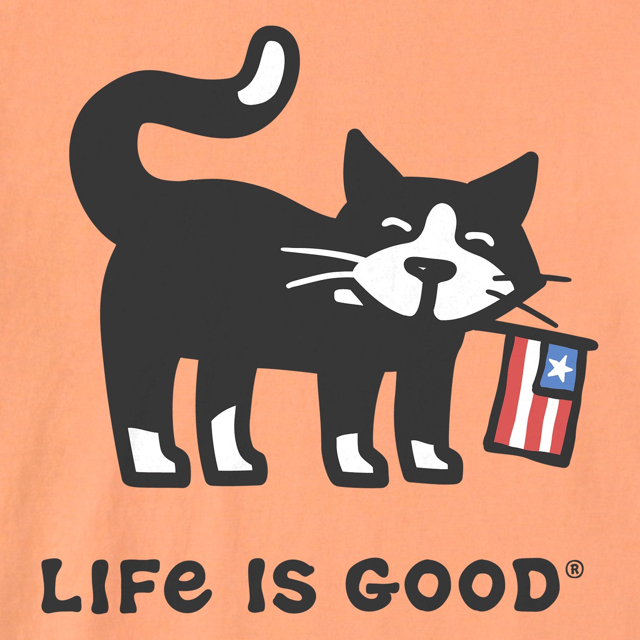 Kids Cat with Flag Short Sleeve Crusher Tee