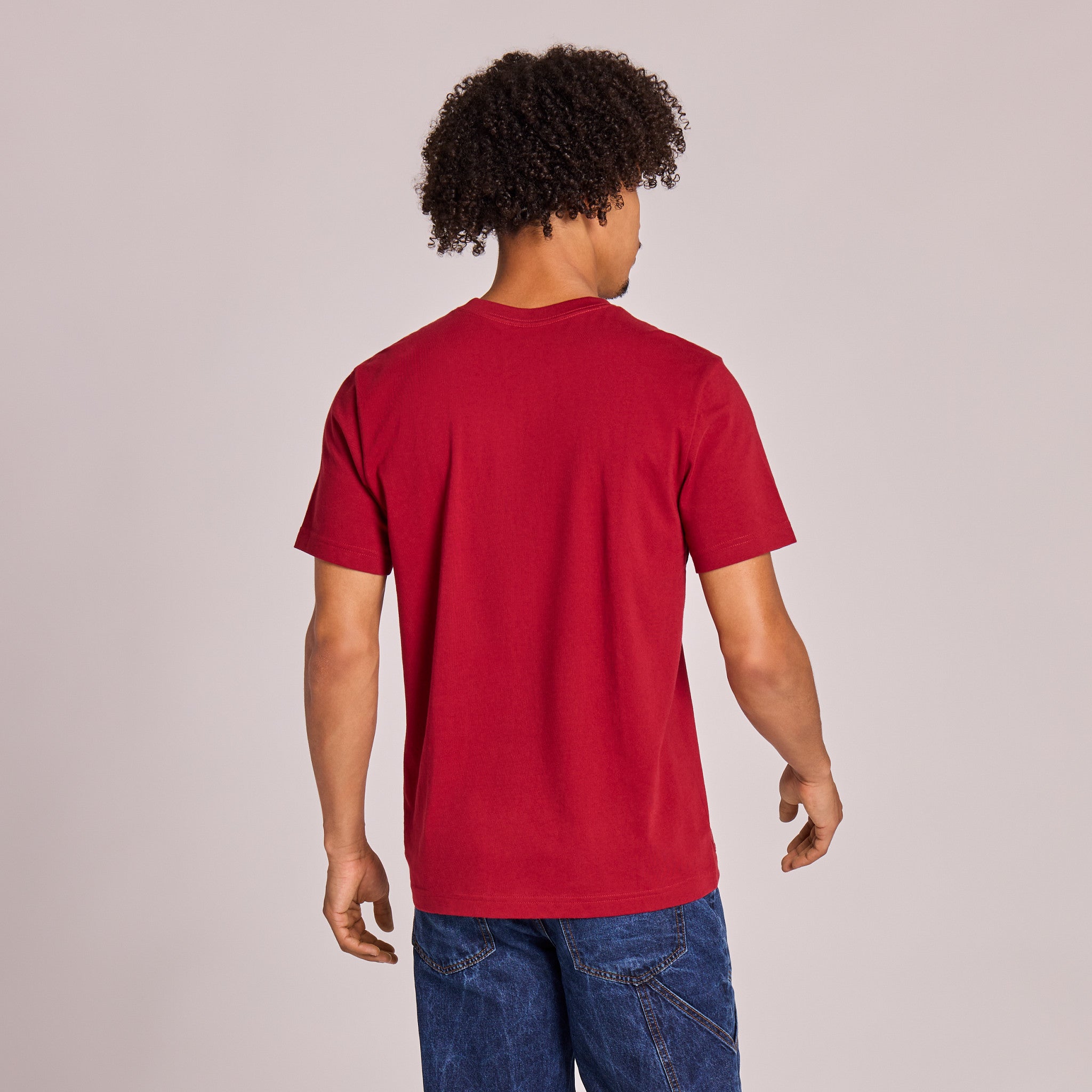 Men's Solid Short Sleeve Crusher Vee