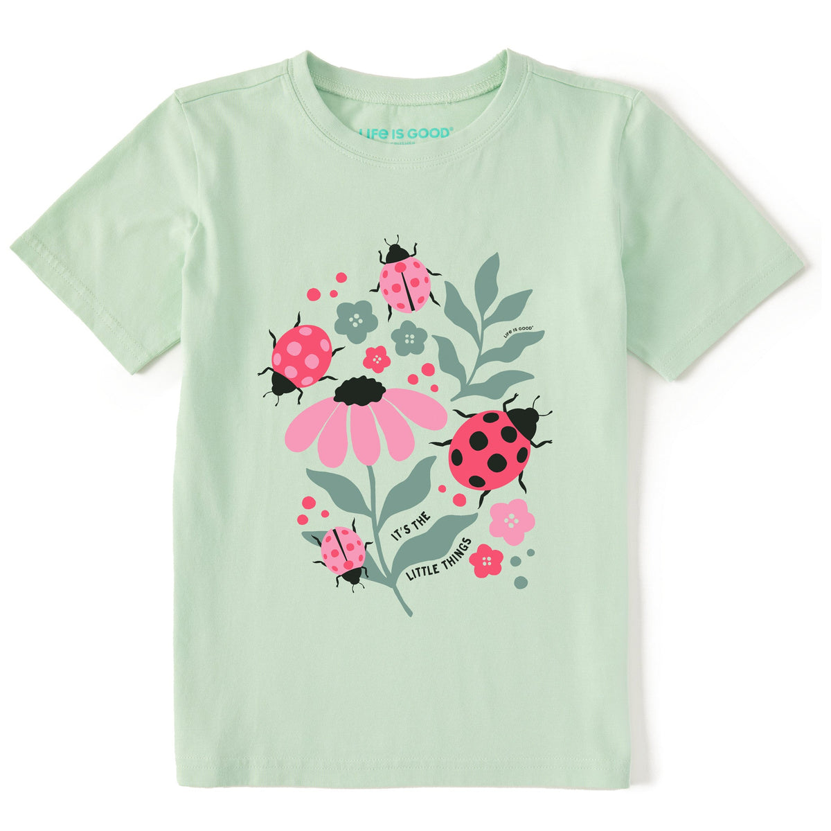 Kids It's the Little Ladybug Things Short Sleeve Crusher Tee