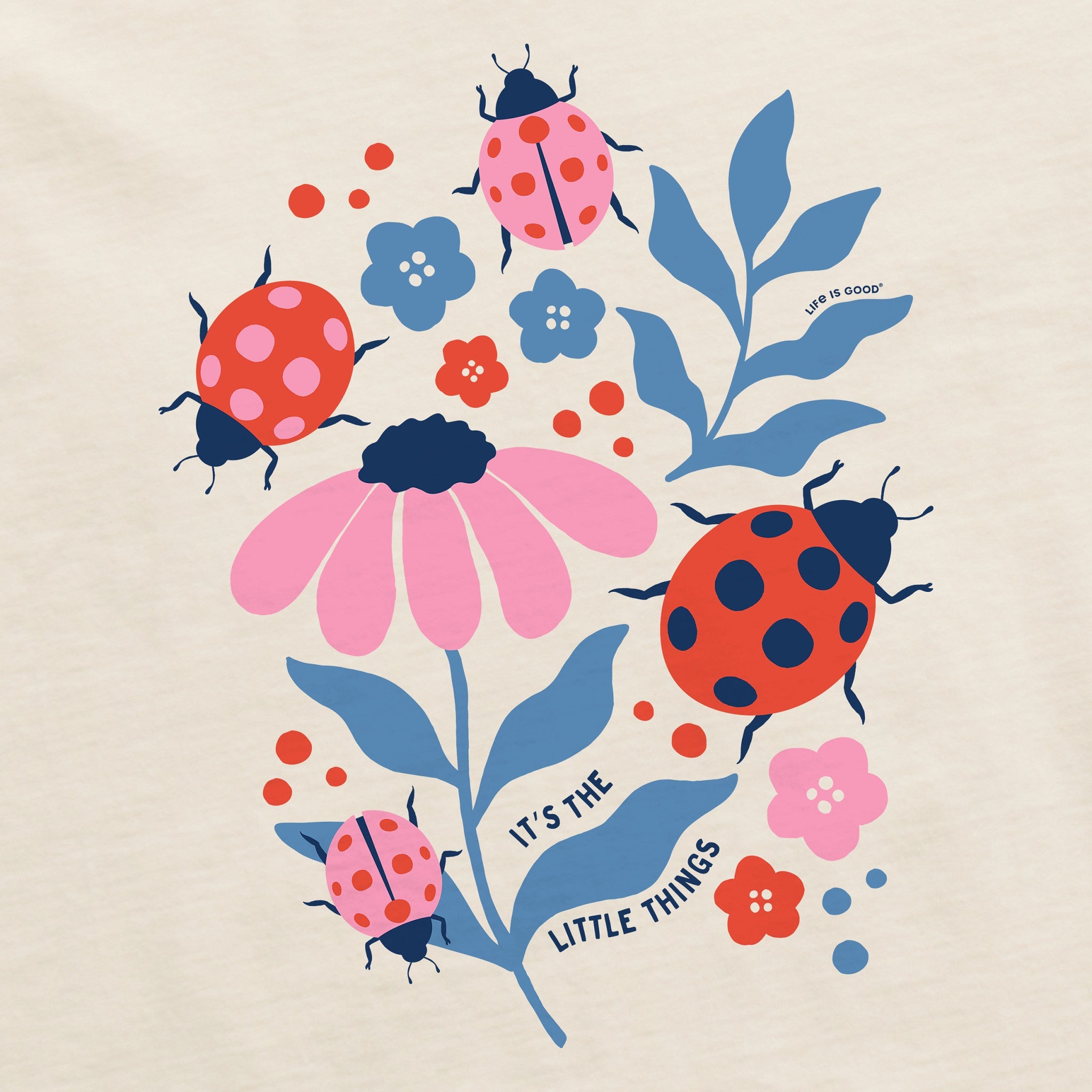 Women's It's the Little Ladybug Things Short Sleeve Crusher Boxy Tee