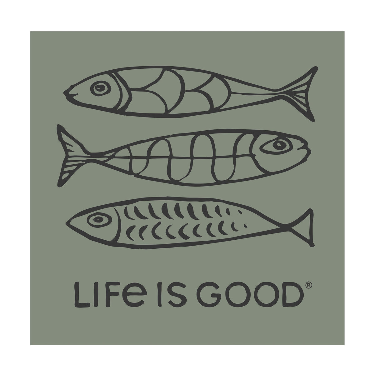Adult Unisex Three Magic Fish Magnet