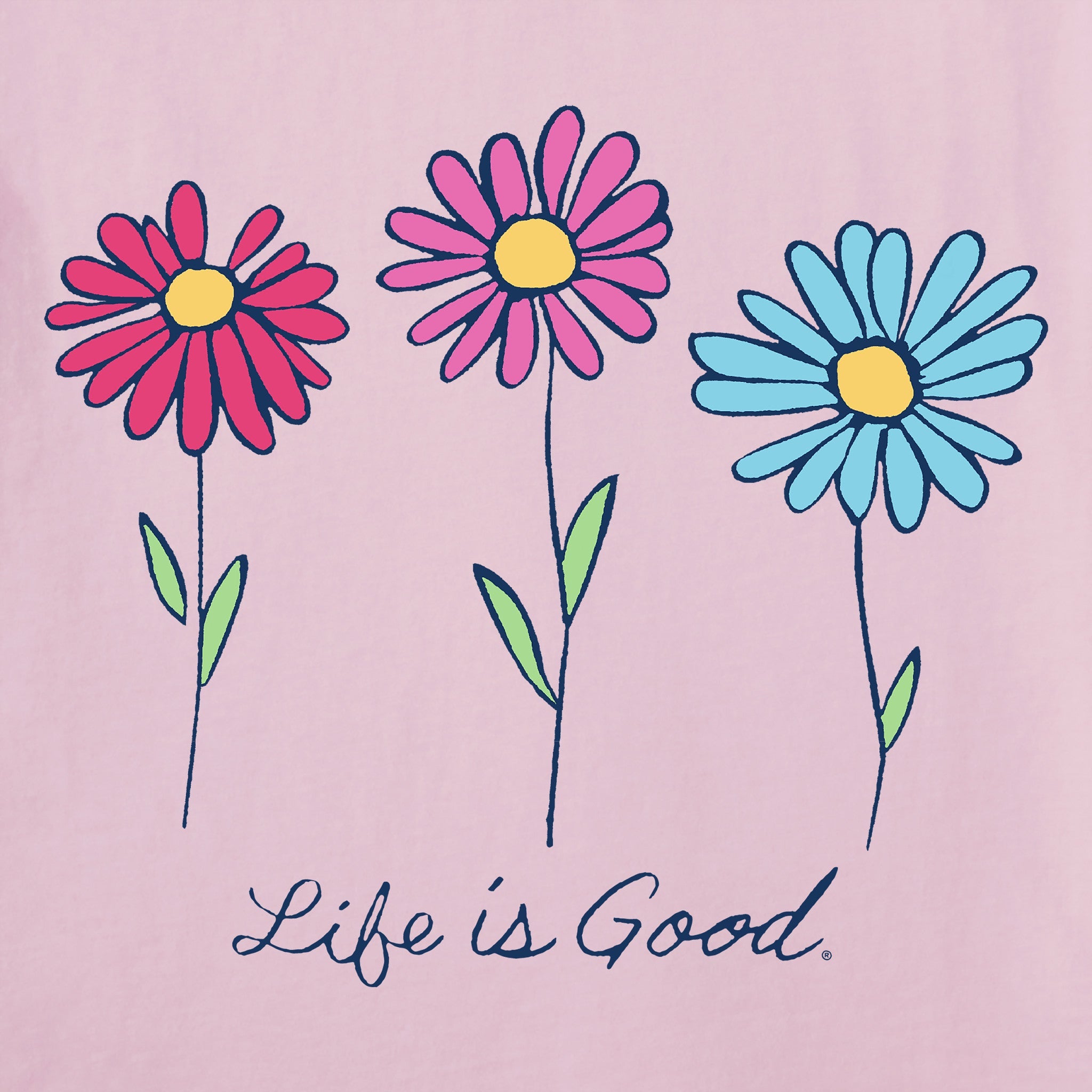 Women's 3 Colorful Daisies Short Sleeve Vee