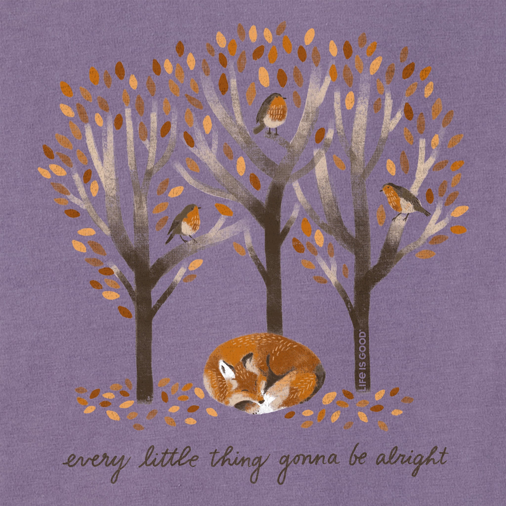 Women's Every Little Thing Fox Short Sleeve Tee
